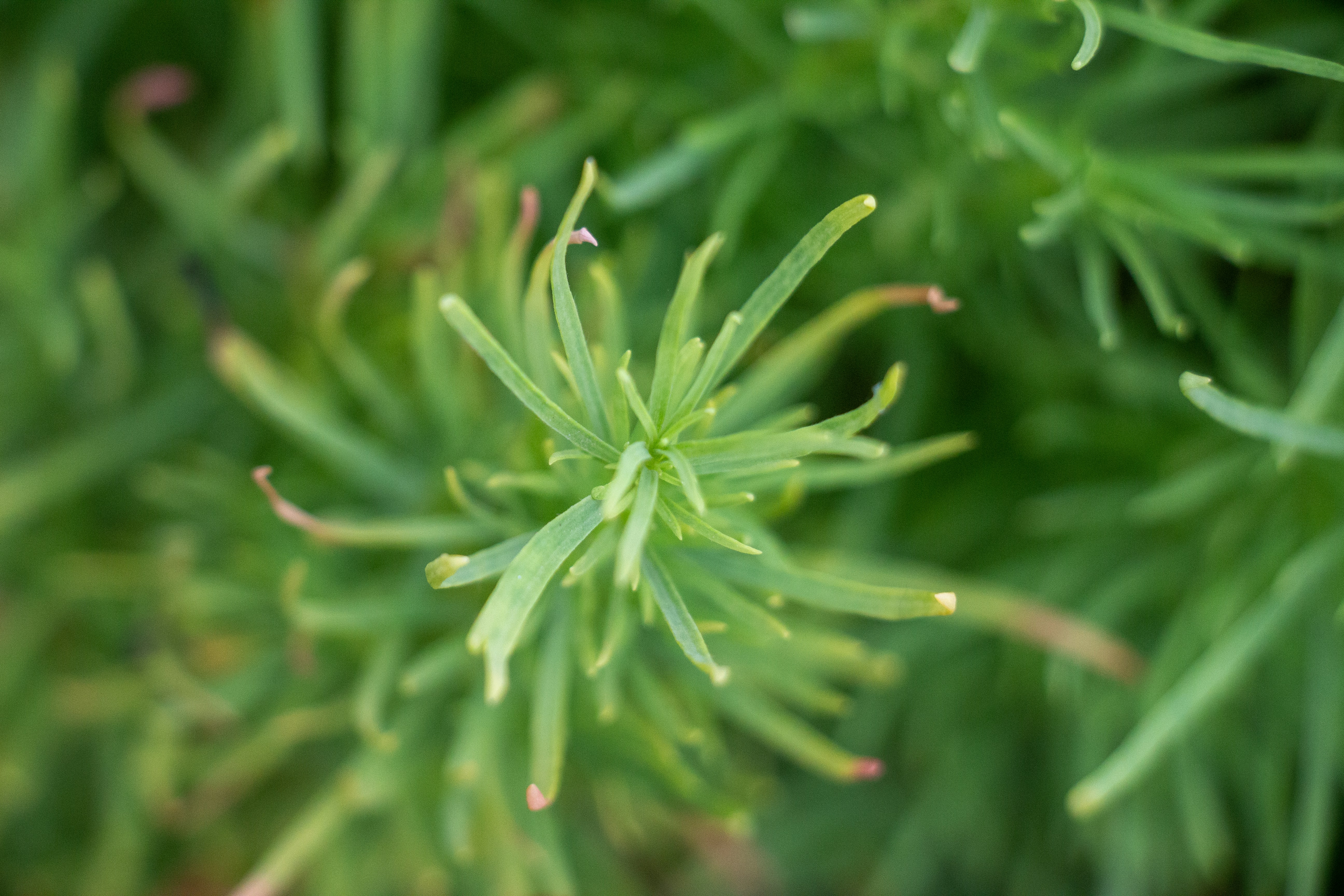 Photo by shreyaantech