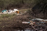 A cluttered arrangement of trash and debris sitting among tall grass and muddy ground. Various items, including plastic bottles, cardboard, and other garbage, are scattered across the area. The scene is untidy and highlights a lack of cleanliness in a natural environment.