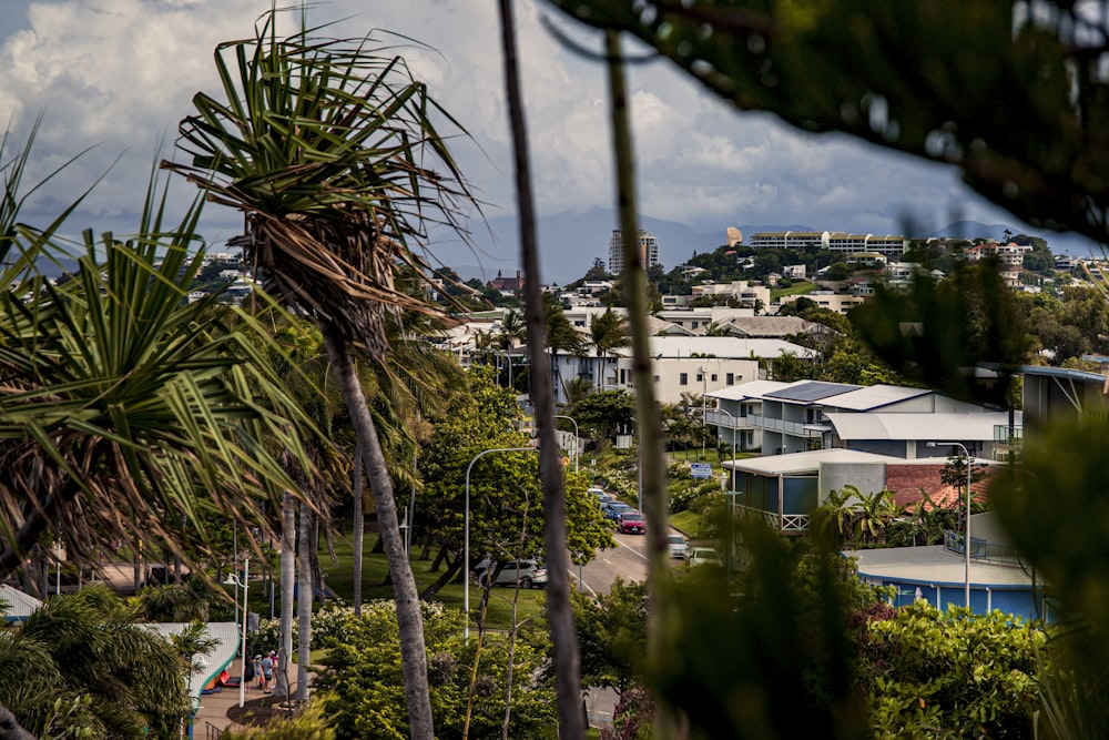 a group of houses and trees