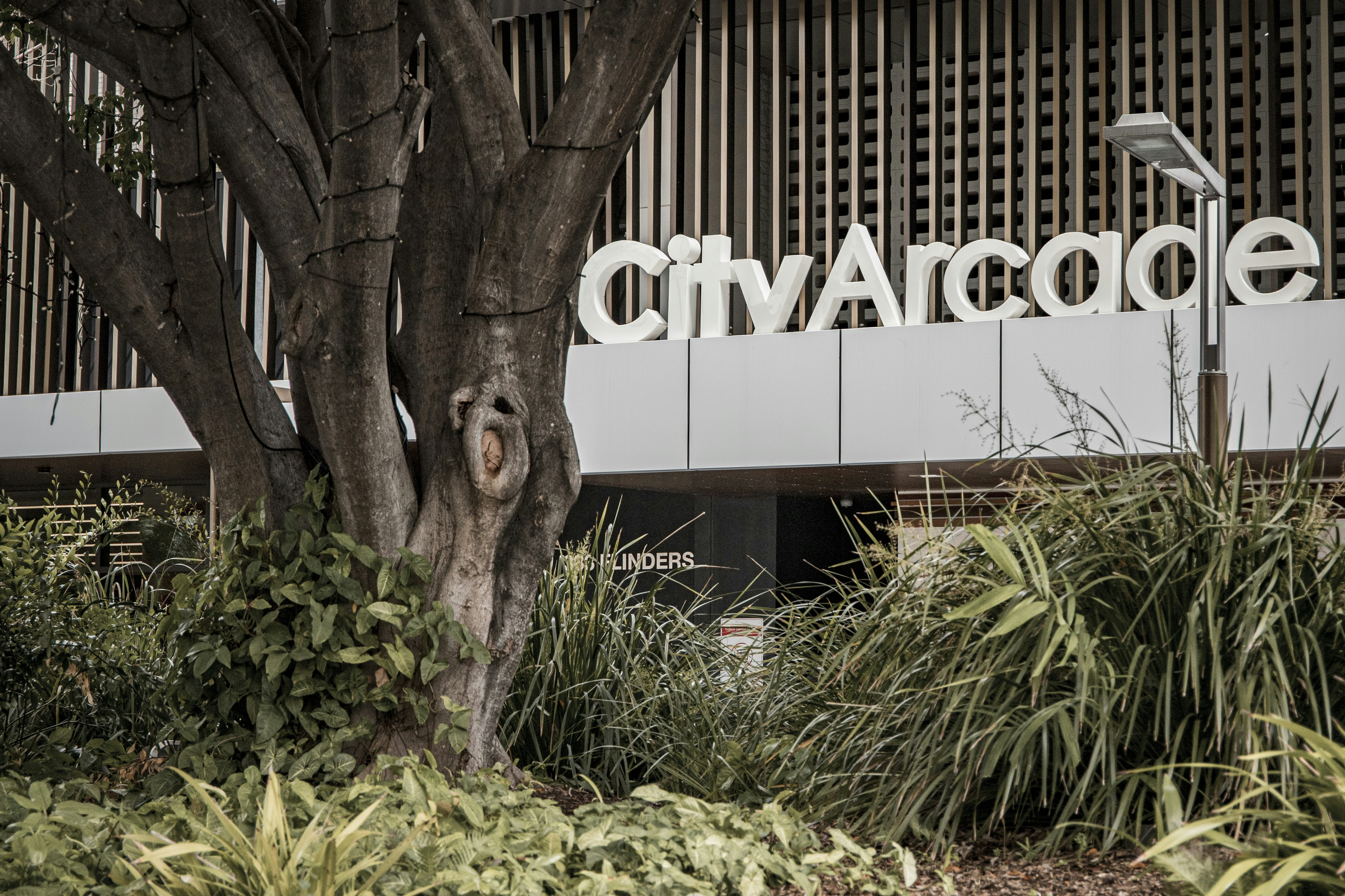 Citylibraries Riverway