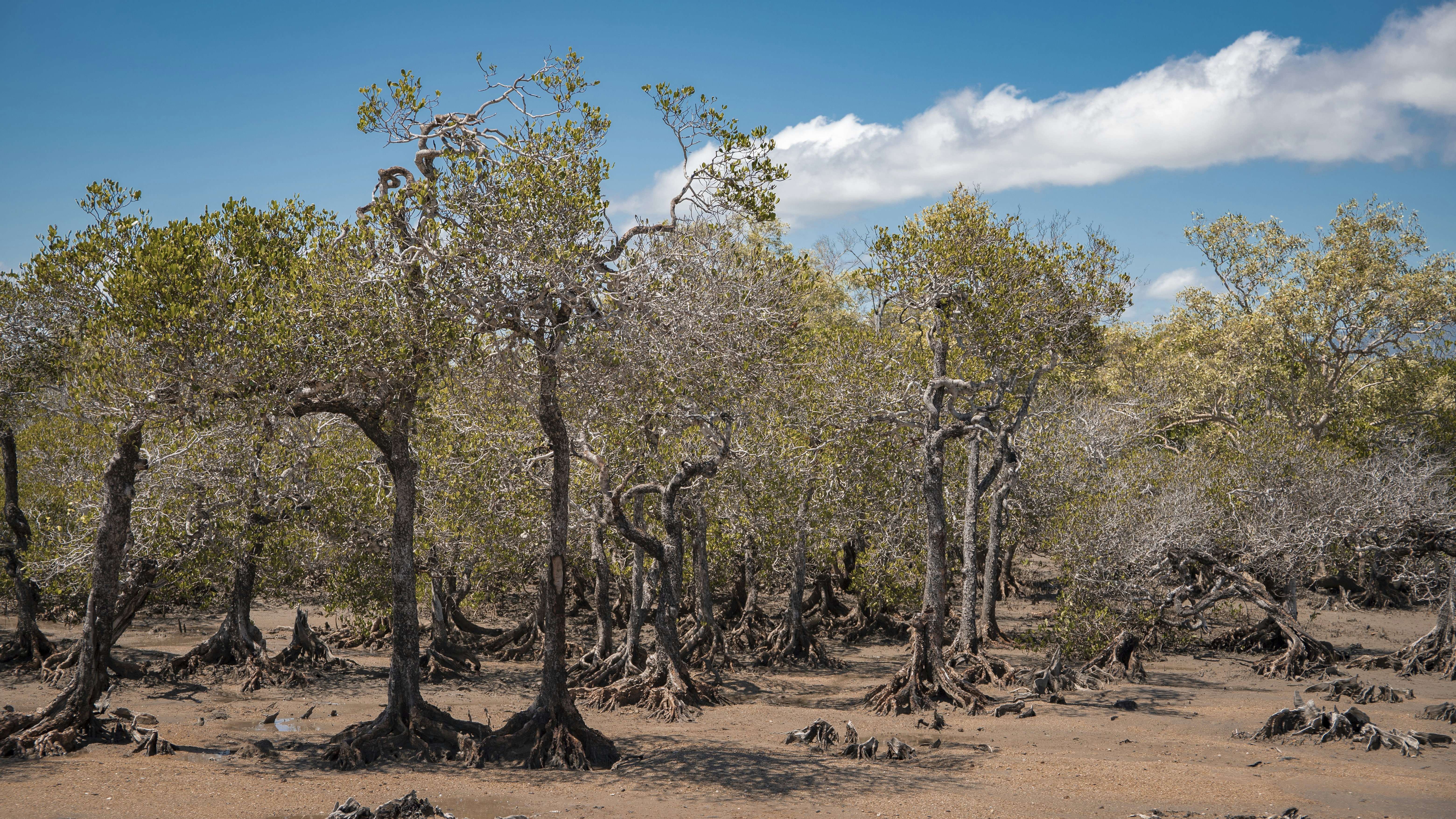 Photo by steve_davison