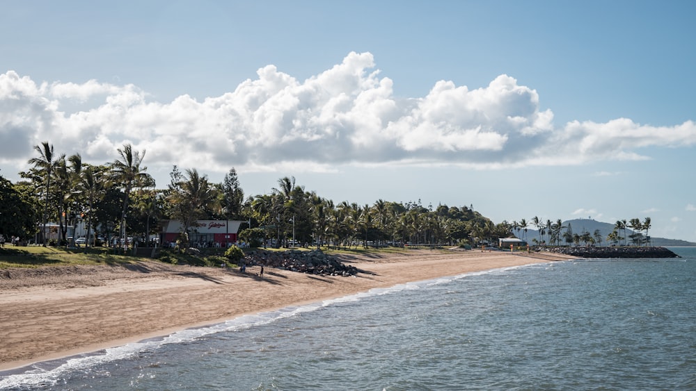 a beach with trees and houses