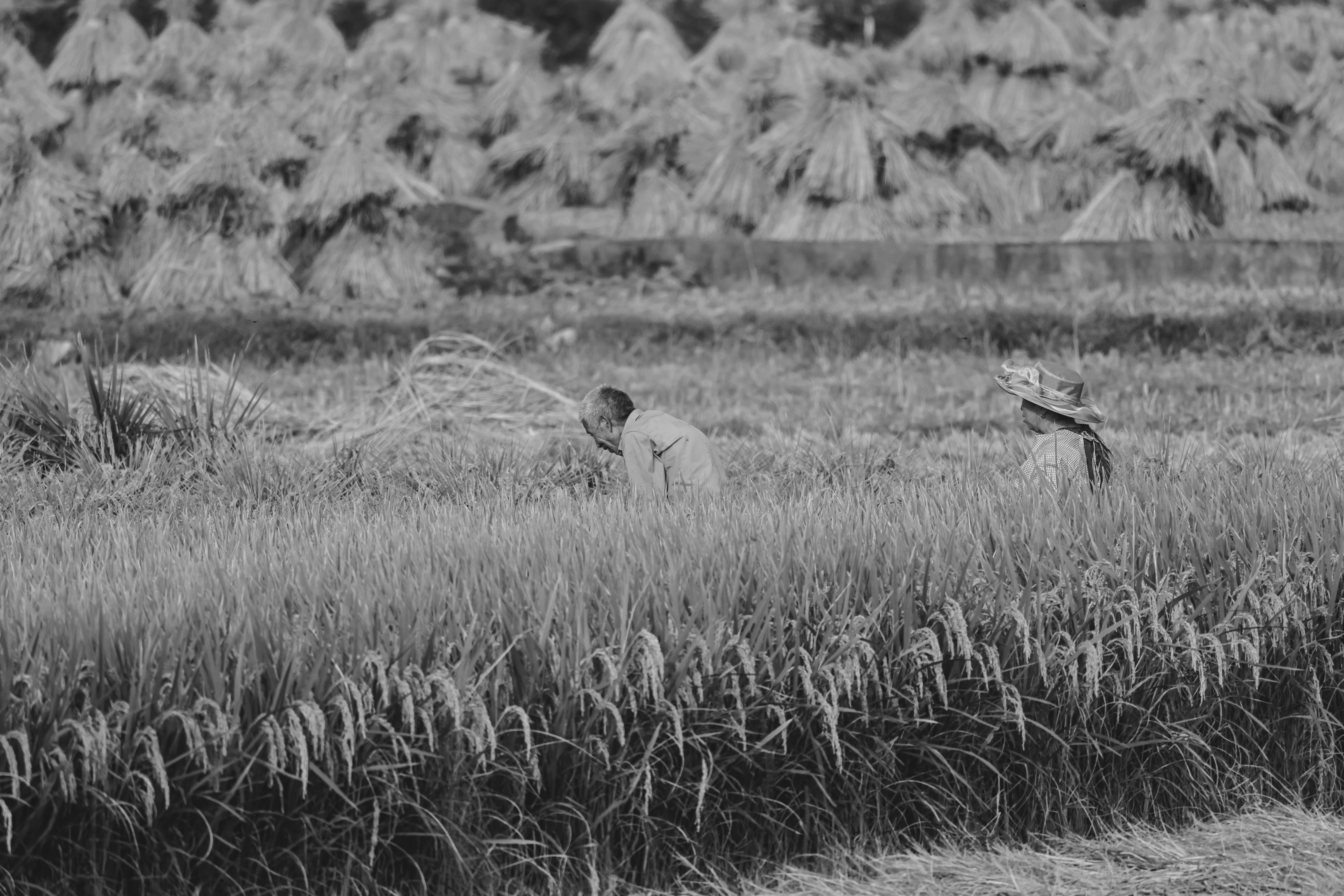 a man and a woman in a field