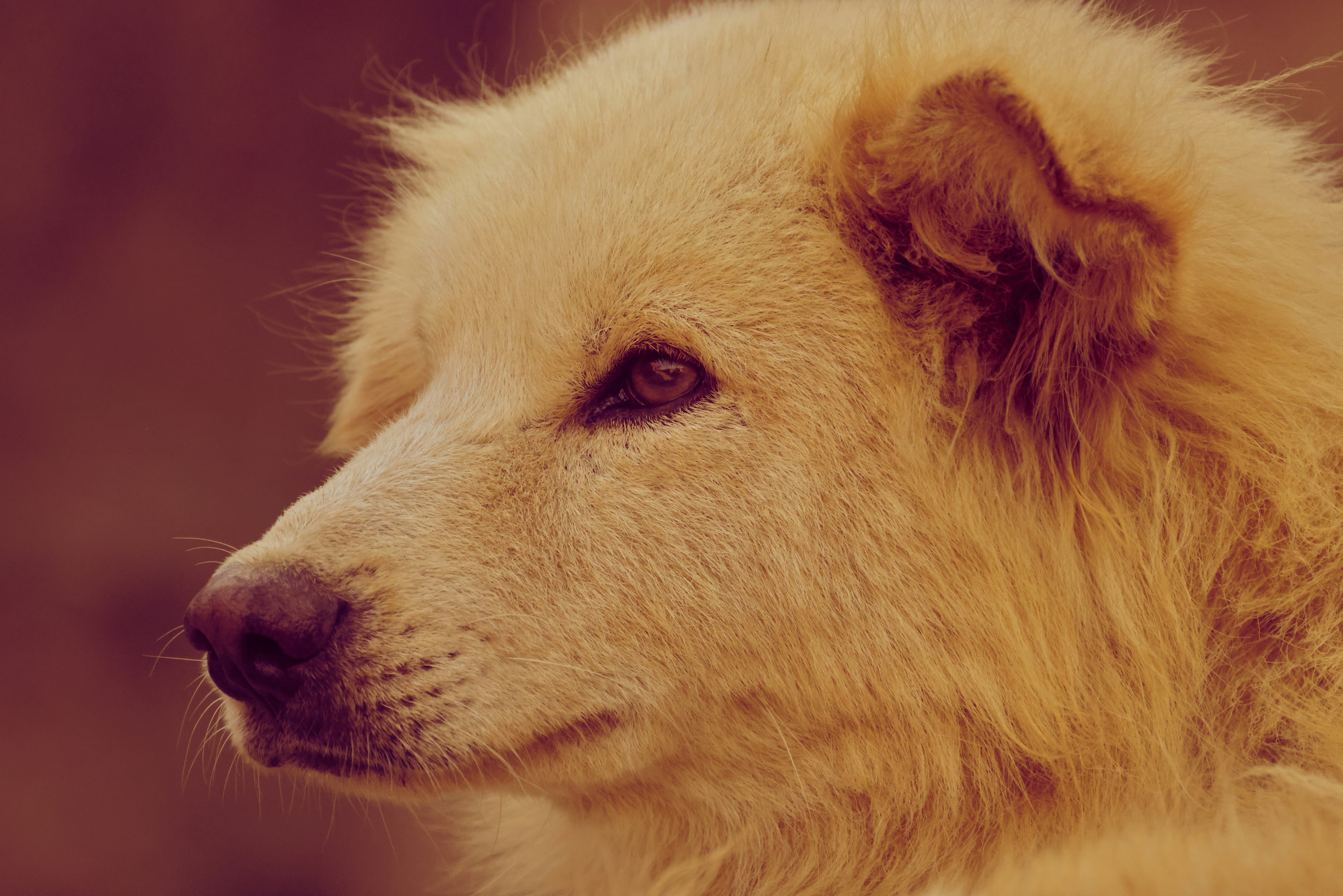 Photo by arttoinspire