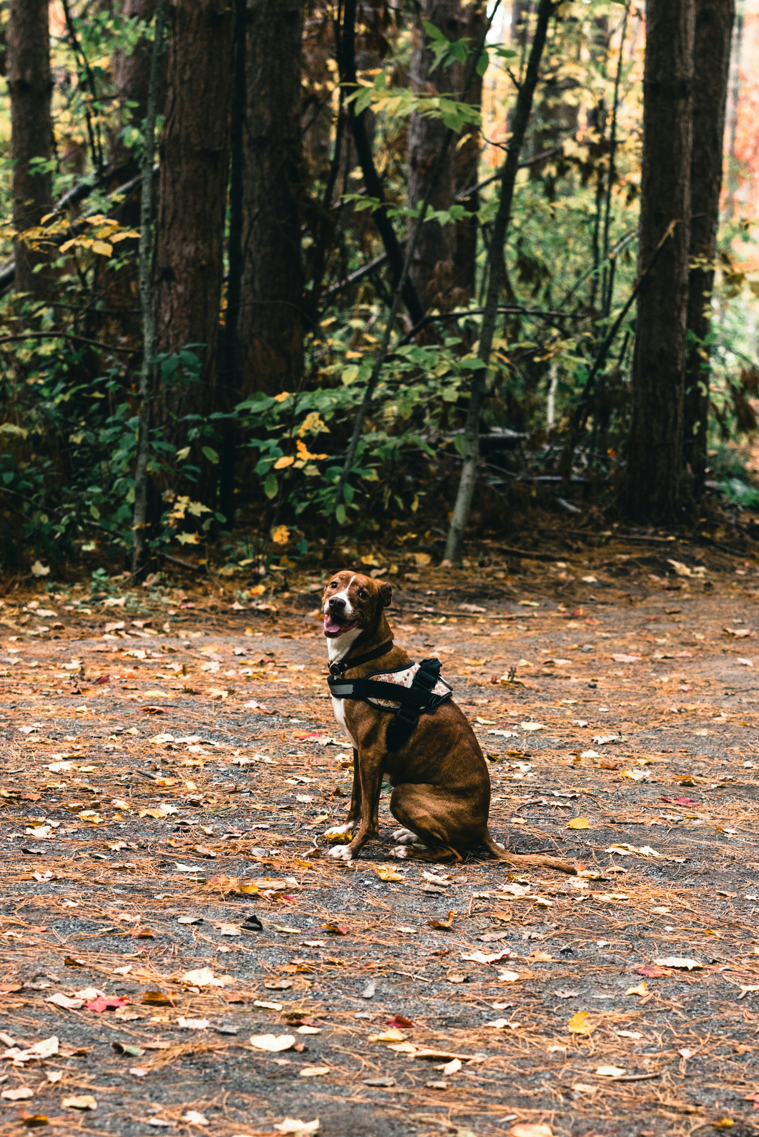 Photo by lureofadventure