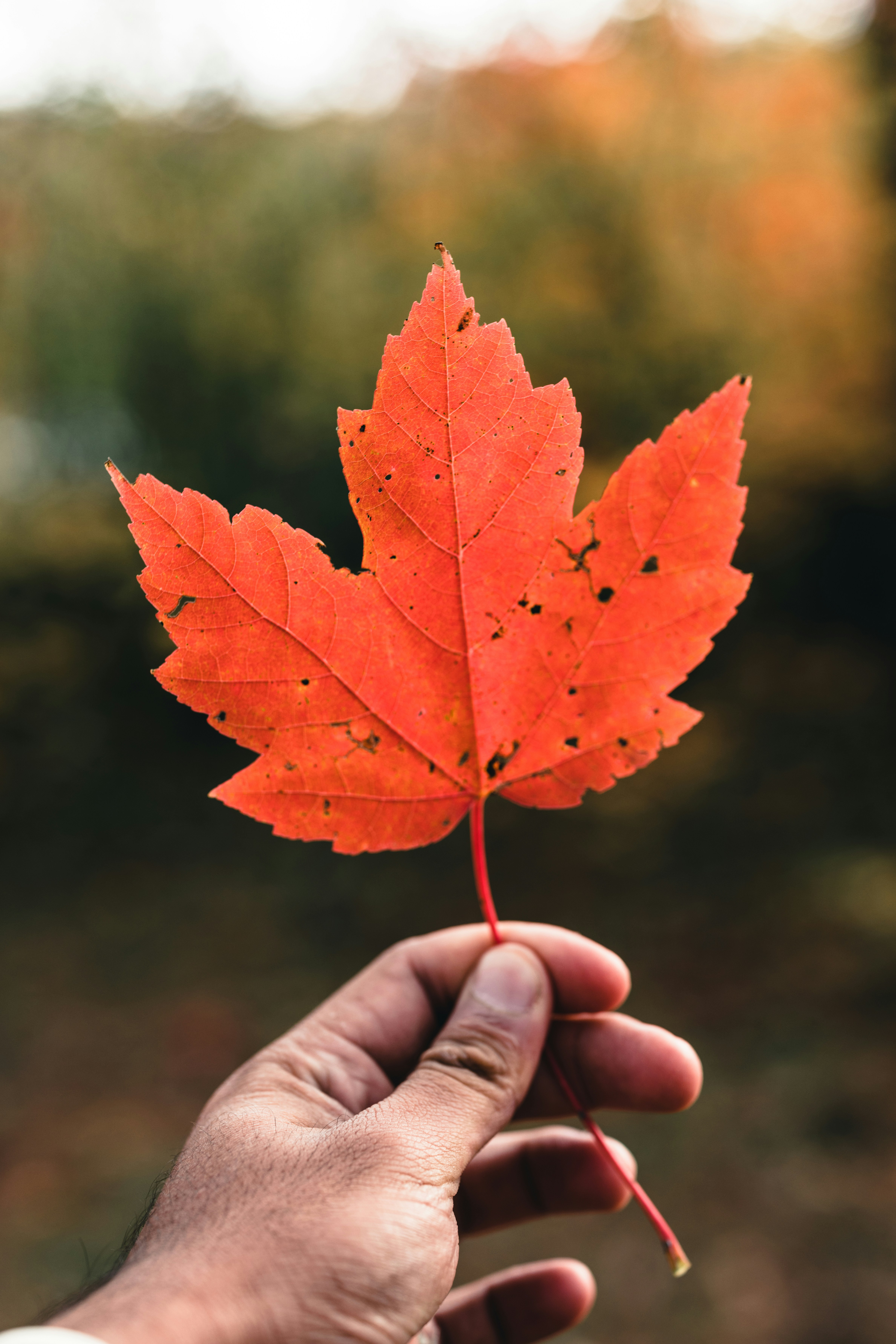 Photo by lureofadventure