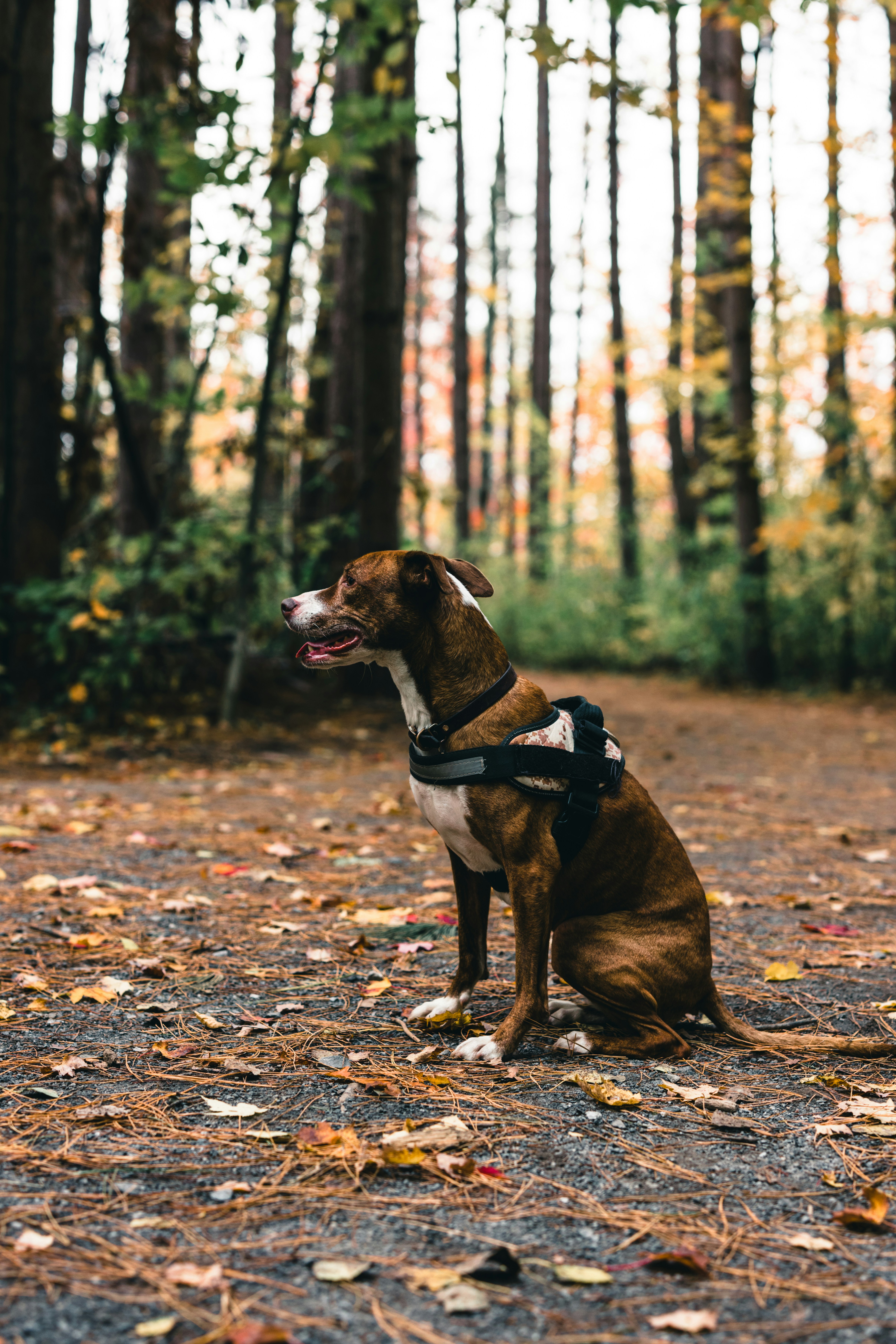 Photo by lureofadventure