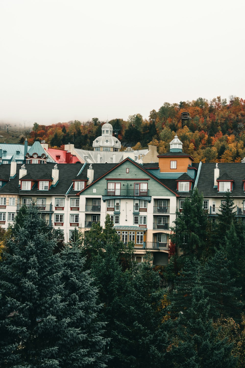 a group of houses with trees in the back