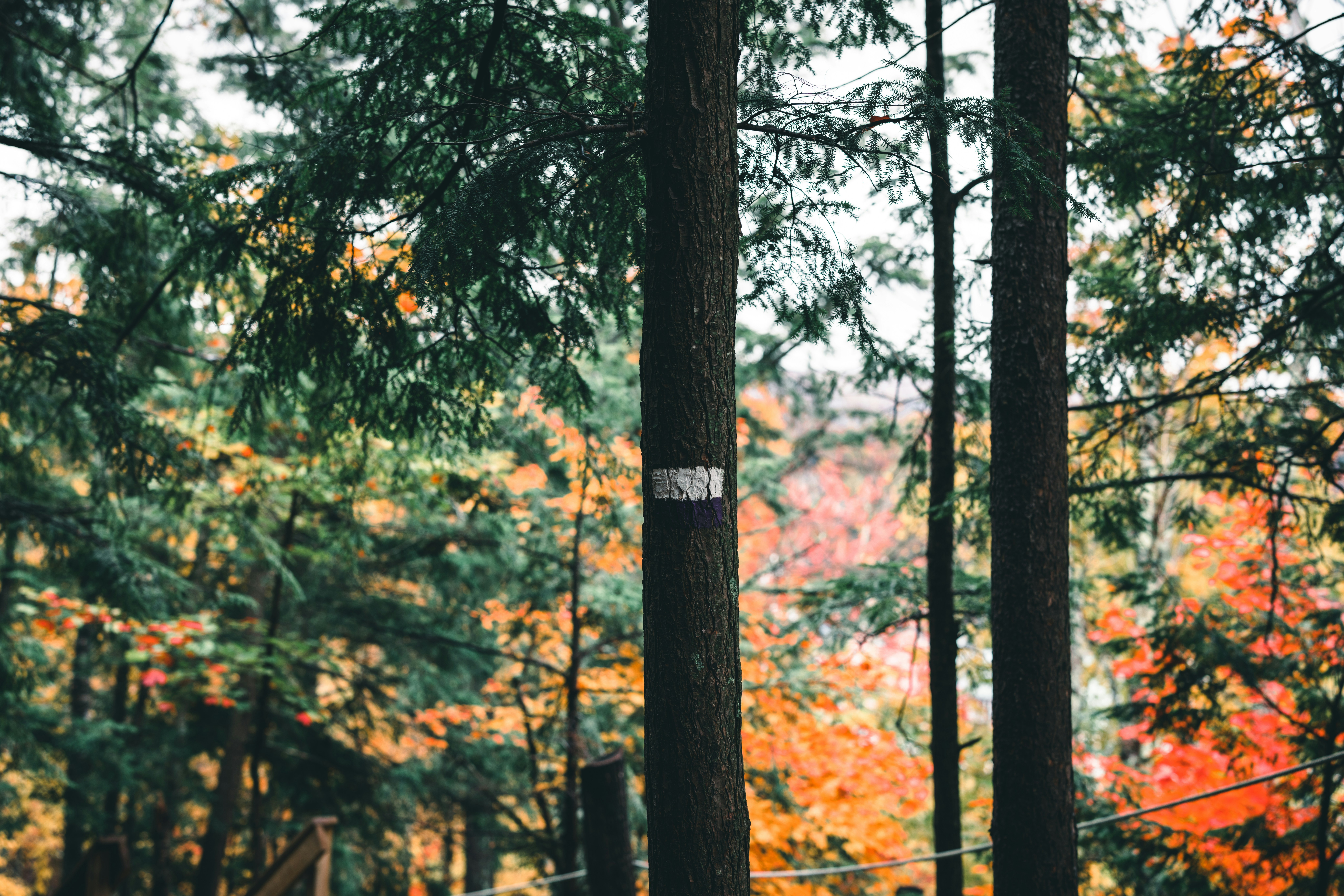 Photo by lureofadventure