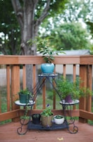 Solid wood outdoor plant stand holding vibrant potted plants on a wooden deck.