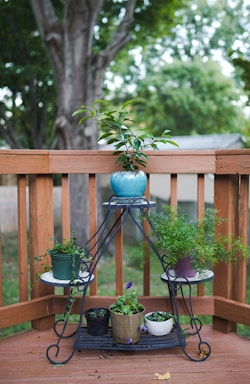 A black metal plant stand holds several potted plants on a wooden deck. The stand is pyramid-shaped with circular shelves. Various plant pots, each a different color and size, hold different types of greenery. In the background, a large tree and green foliage are visible.