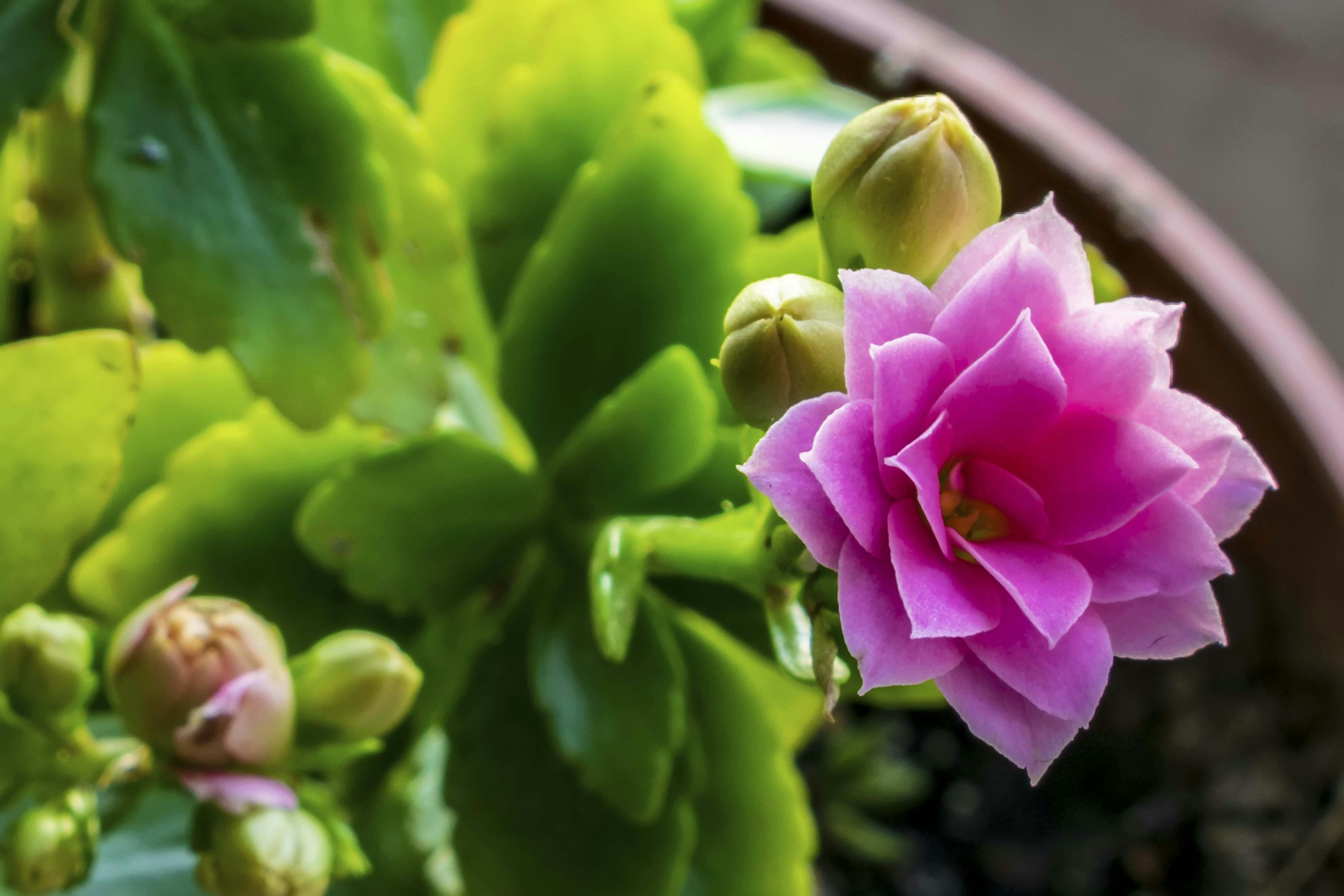 Photo by kostiantynvierkieiev