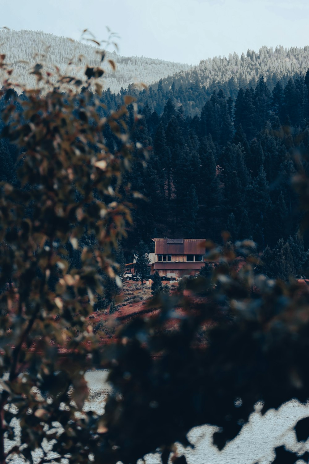 une maison sur une colline entourée de neige et d’arbres