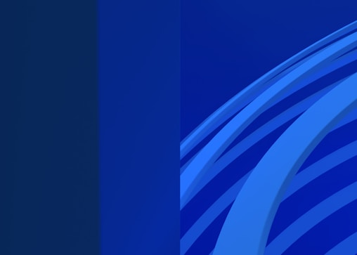 BlueBird Bizz Accountancy logo