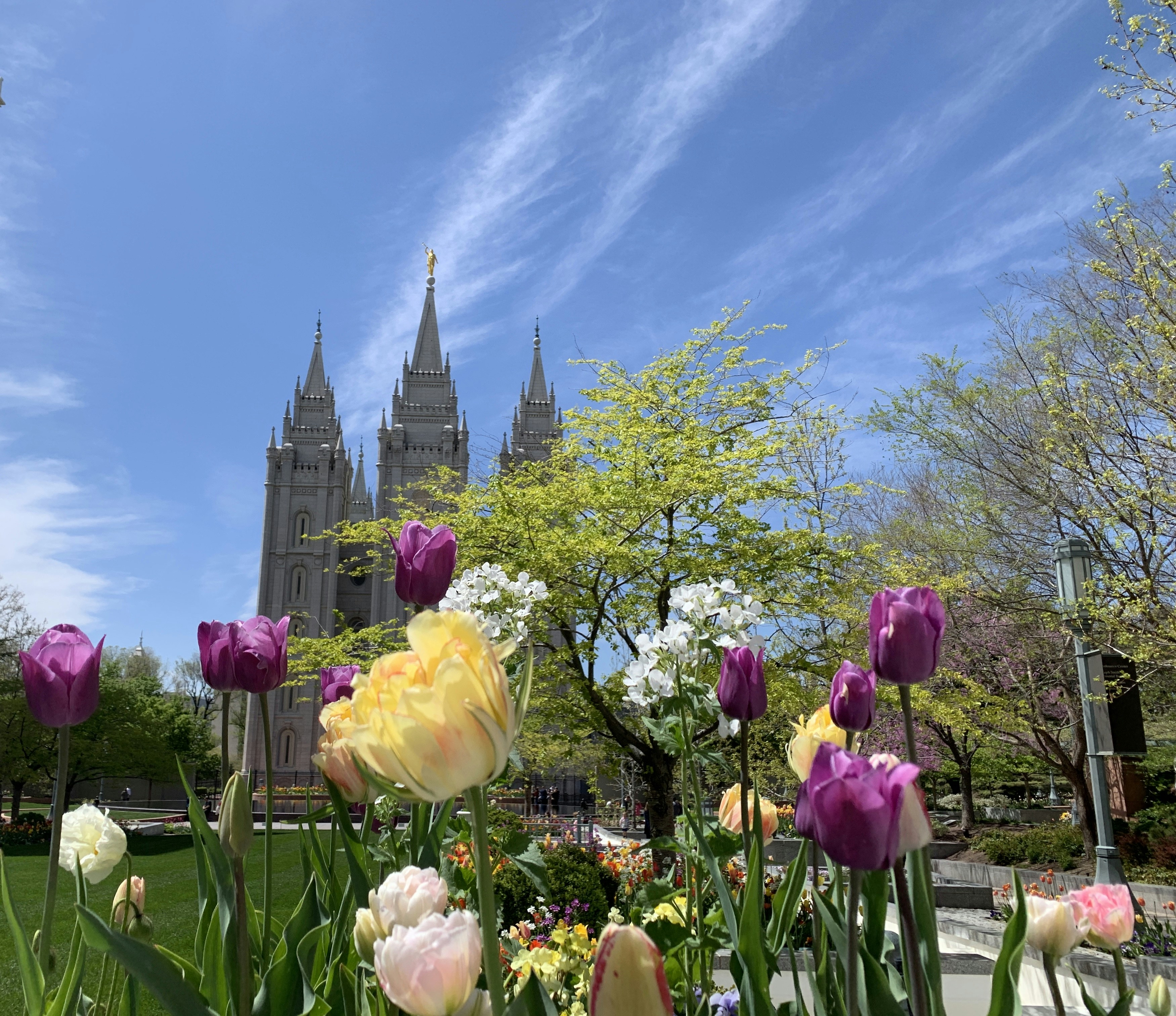 Description of the image