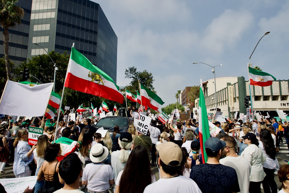 a crowd of people holding signs and flags