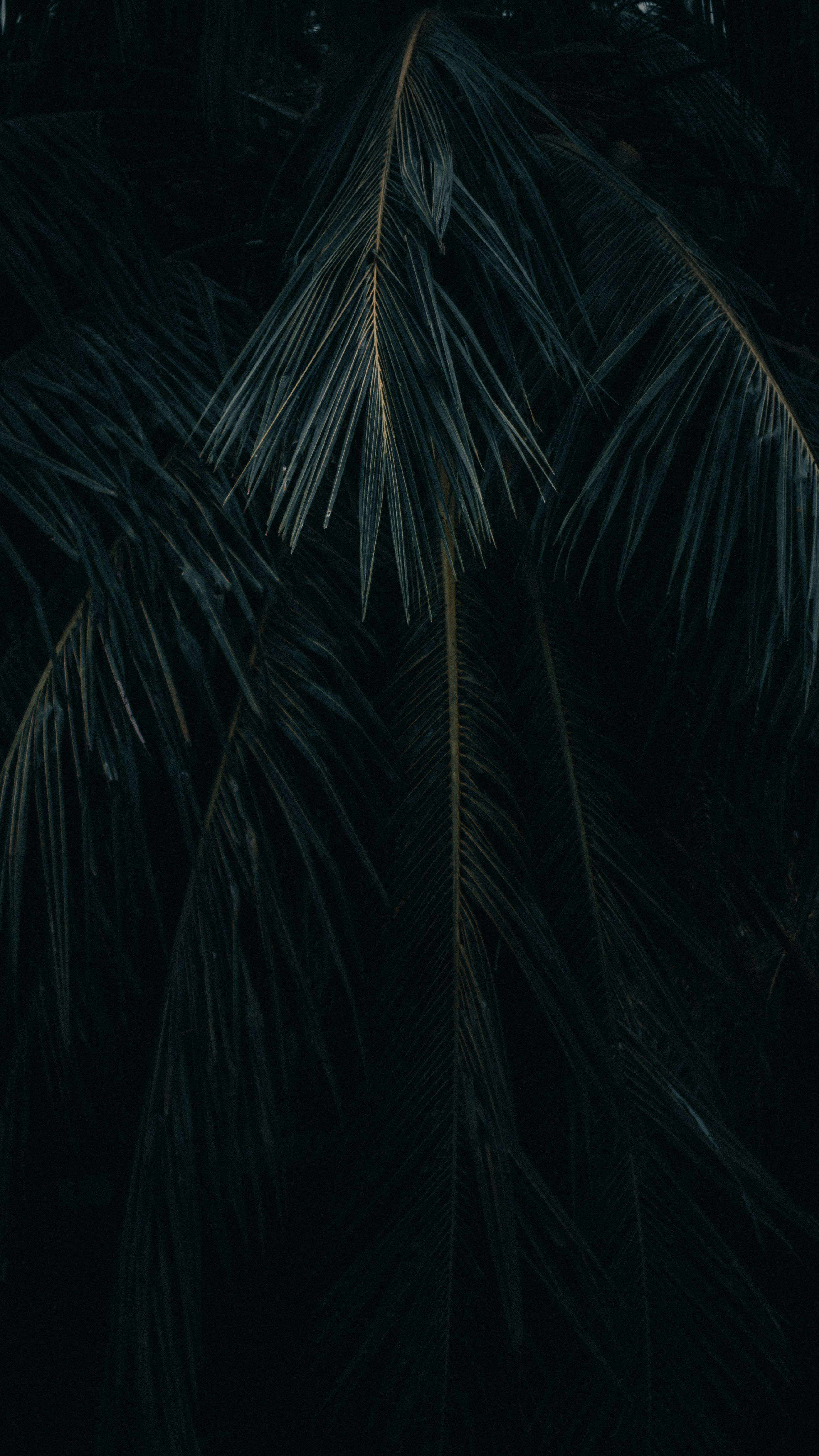 Photo by pixelbyzaki