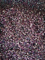 Rows of black peppercorns spread out for sorting in a rustic warehouse.