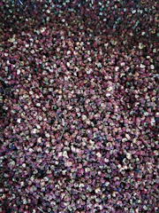 Black peppercorns spilling from a wooden scoop onto fabric.