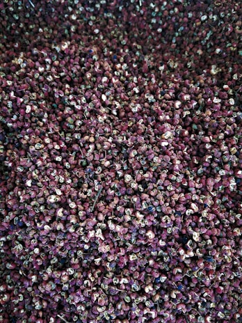 A close-up view of a large pile of dried peppercorns, predominantly in shades of red and purple, with some green and black specks scattered throughout.