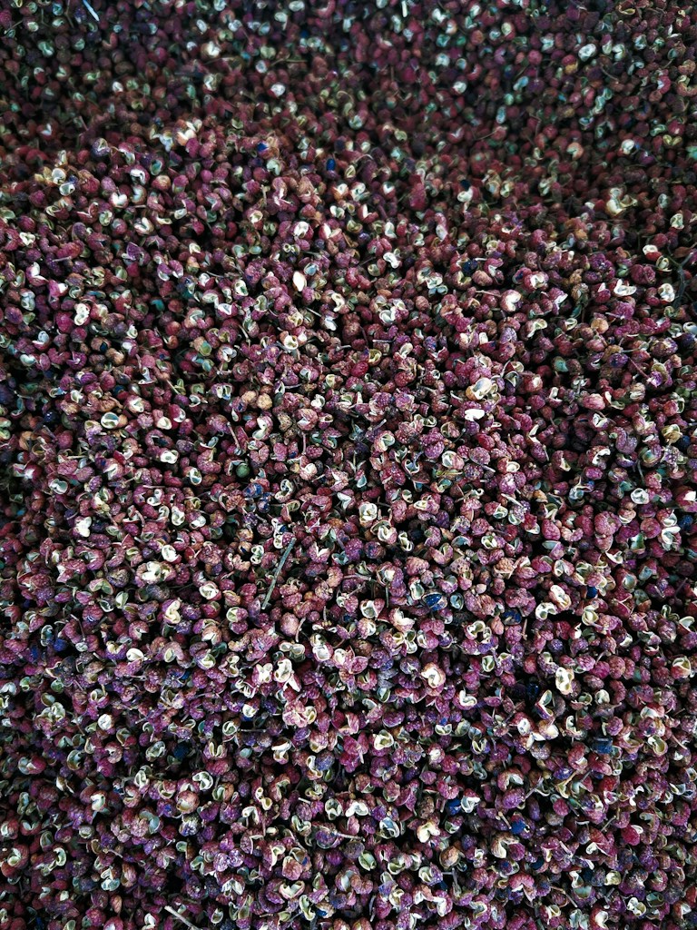 Black Pepper