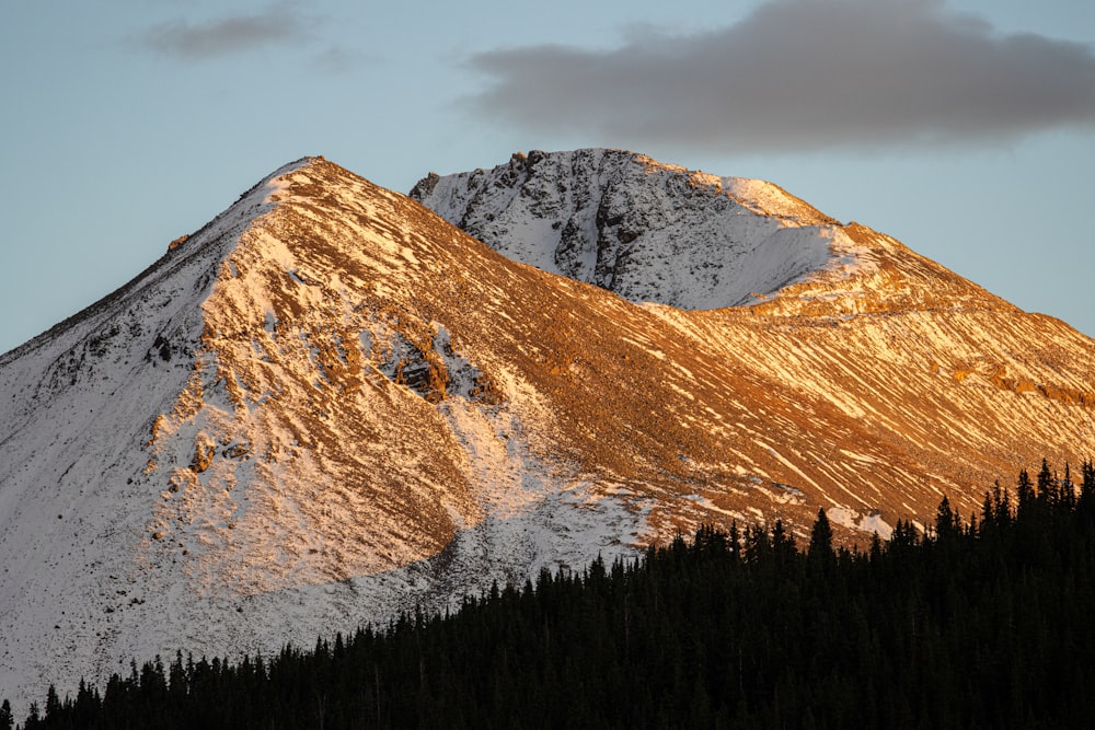 a snowy mountain with trees below