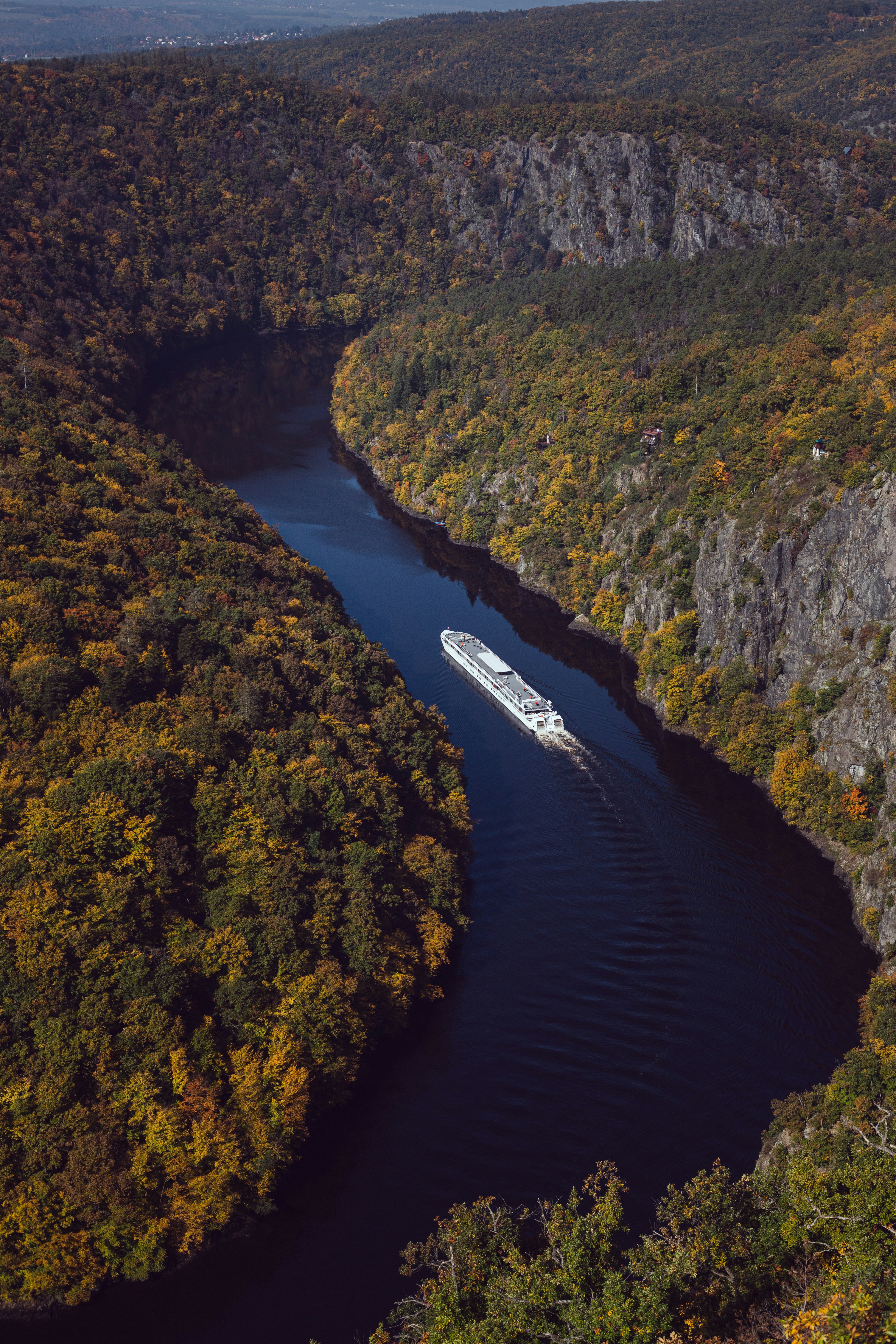 une rivière qui traverse une forêt