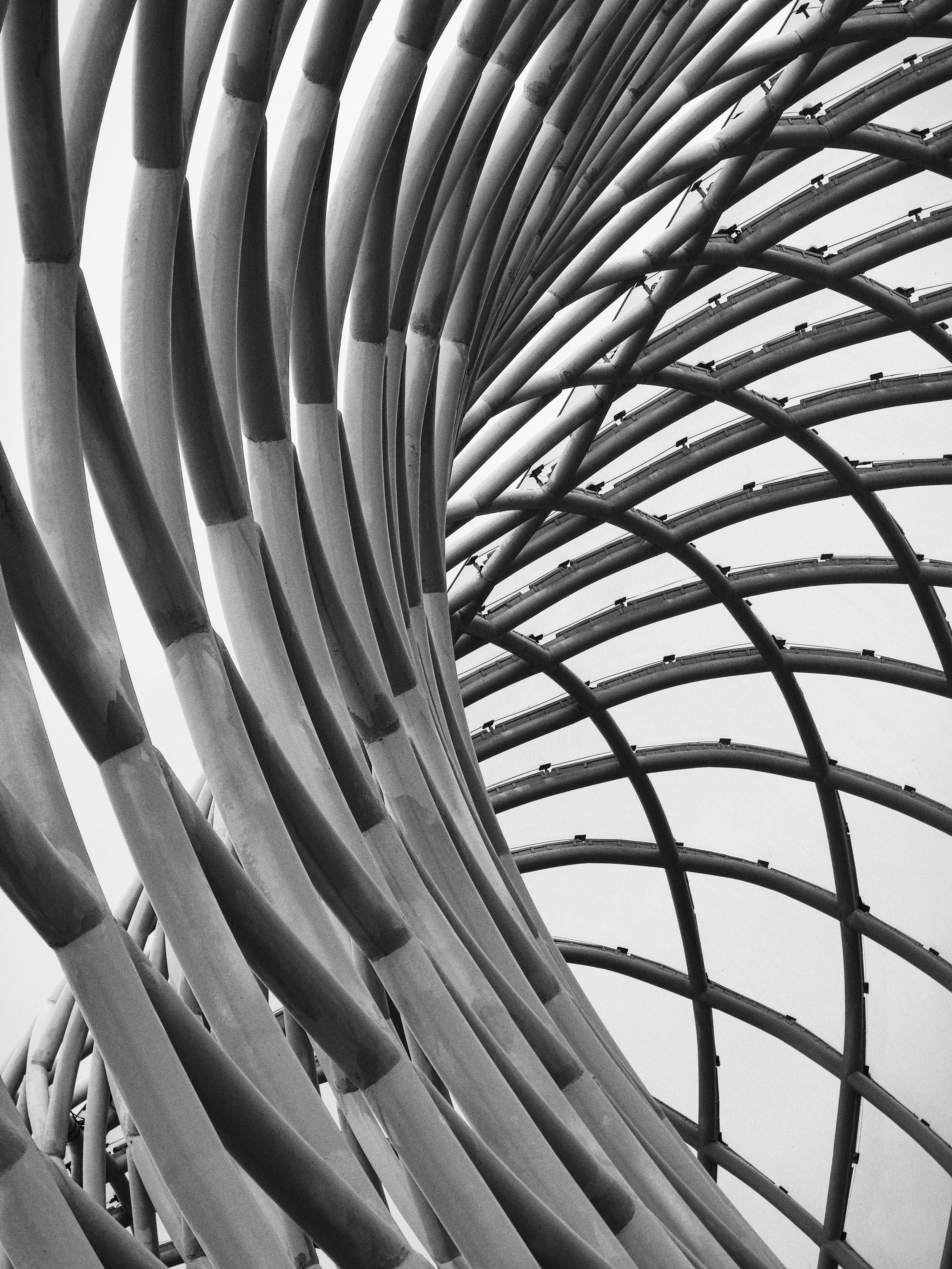 Photo by tisontosaka