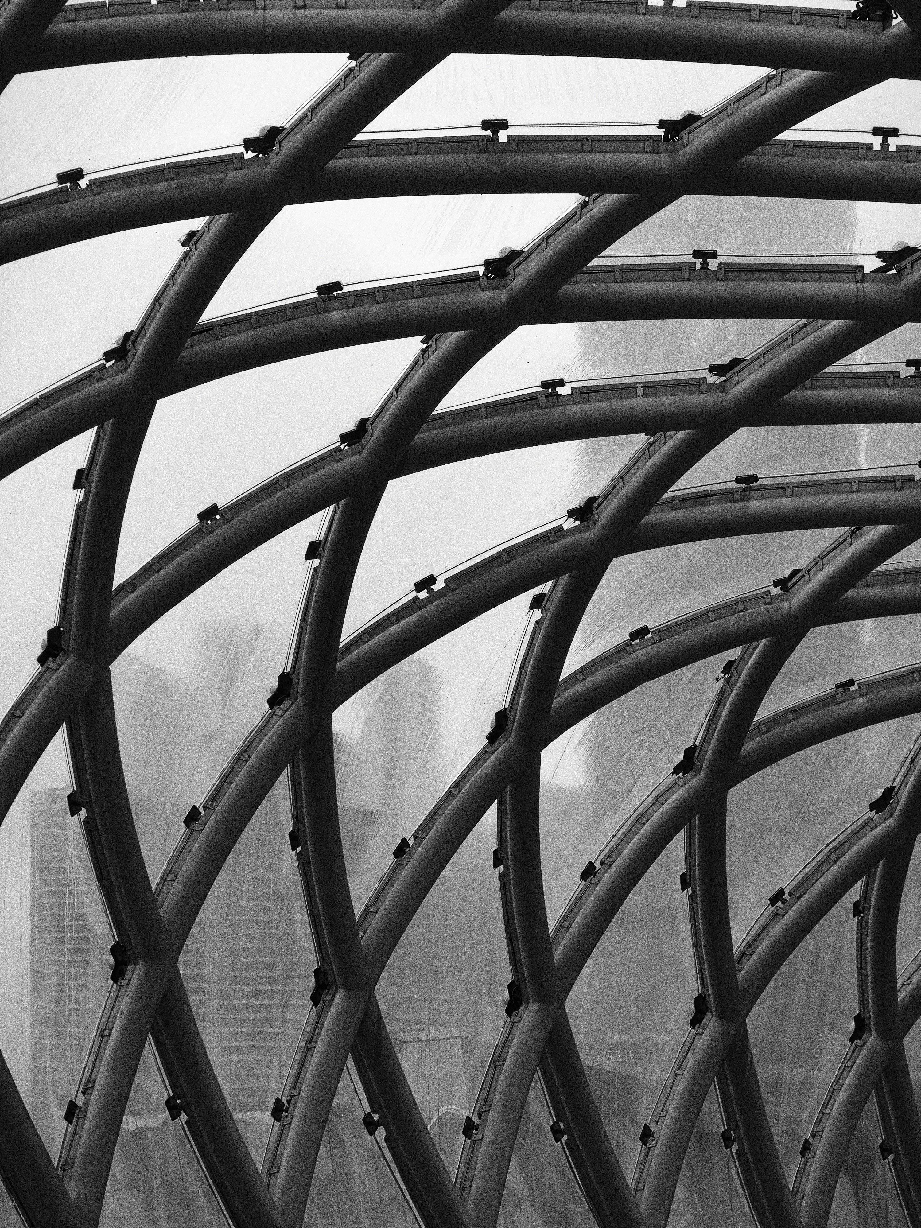 Photo by tisontosaka