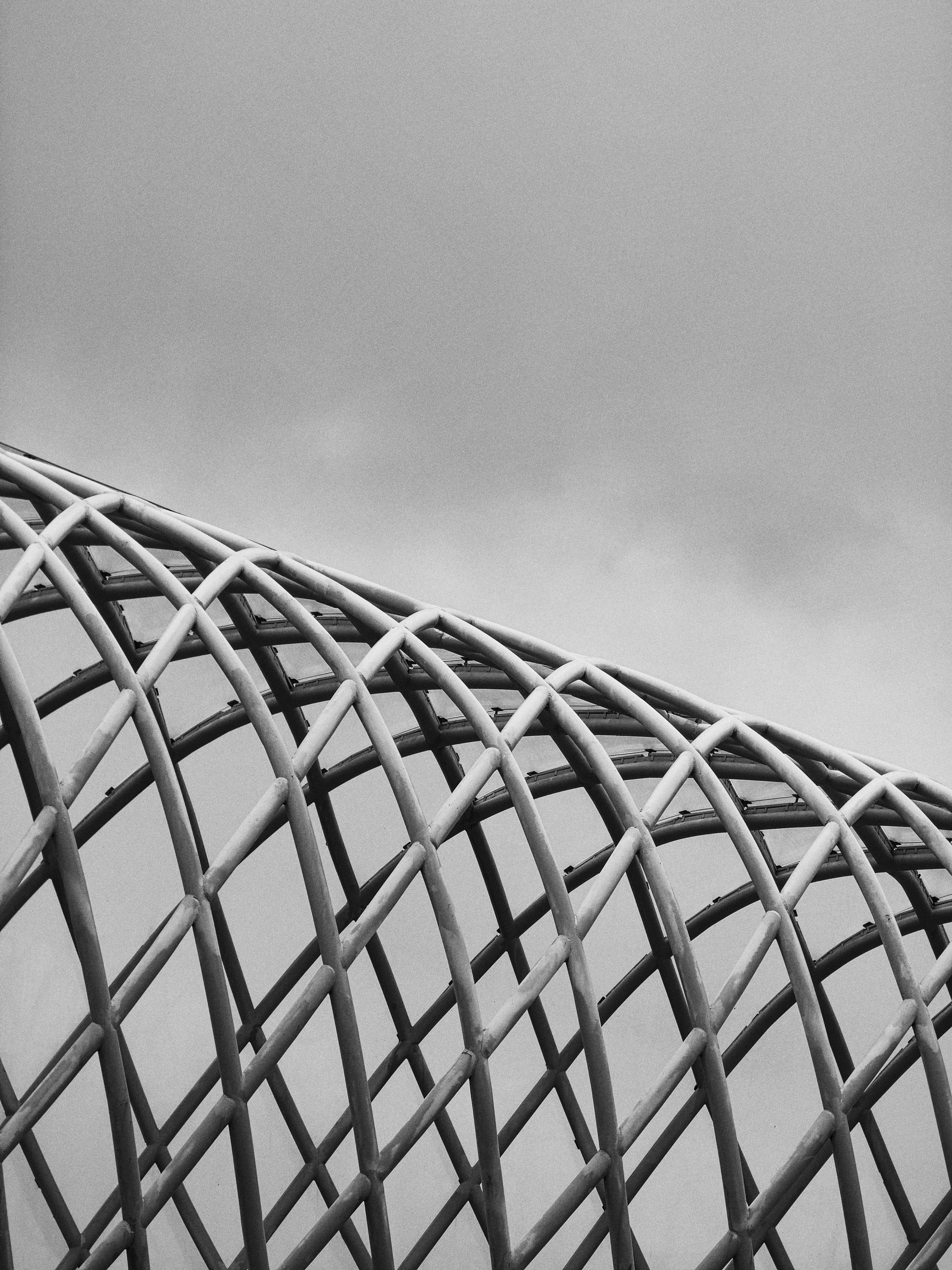 Photo by tisontosaka