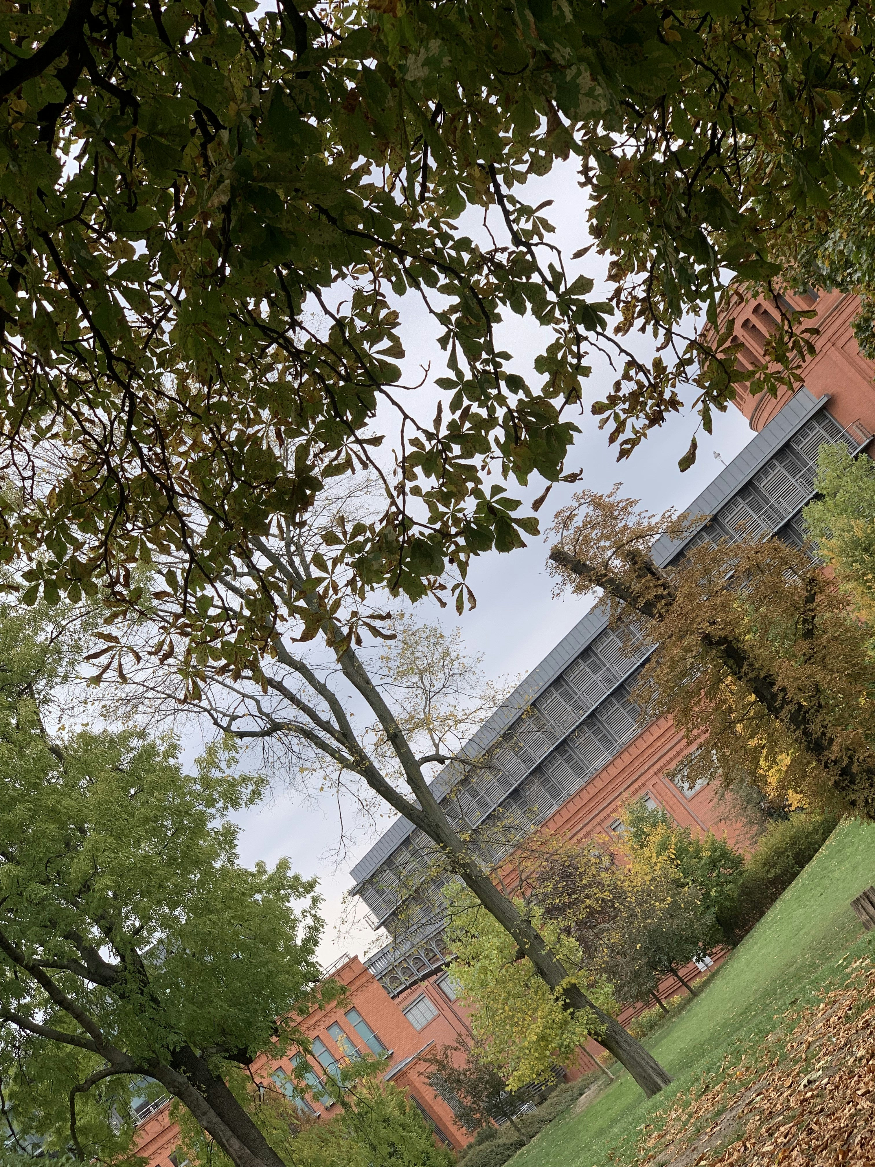 Photo by diamondblak