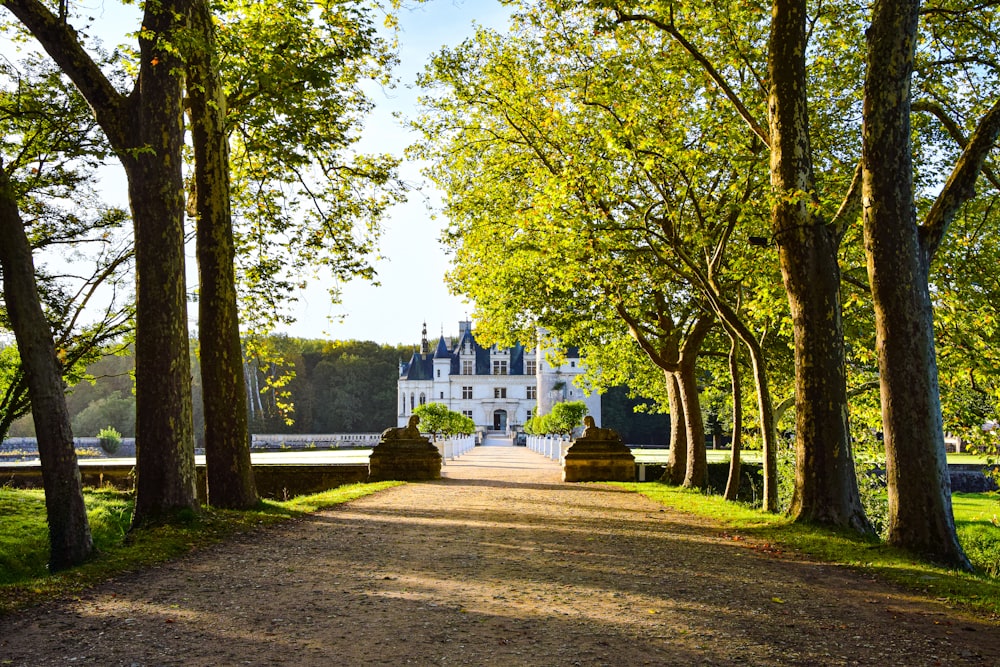 un chemin menant à un grand bâtiment blanc avec des arbres de chaque côté