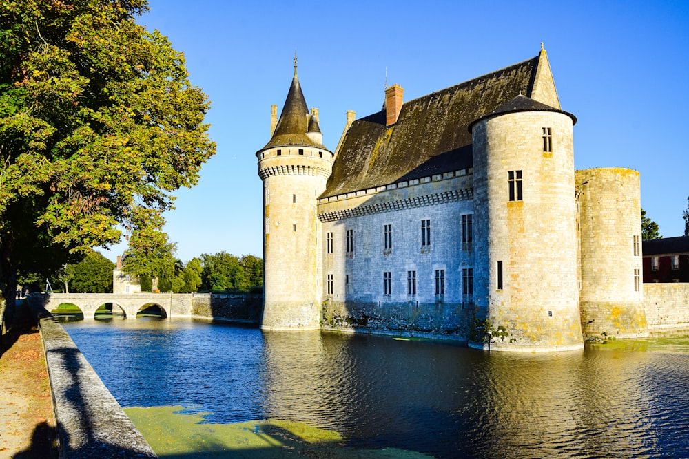 a castle with a moat