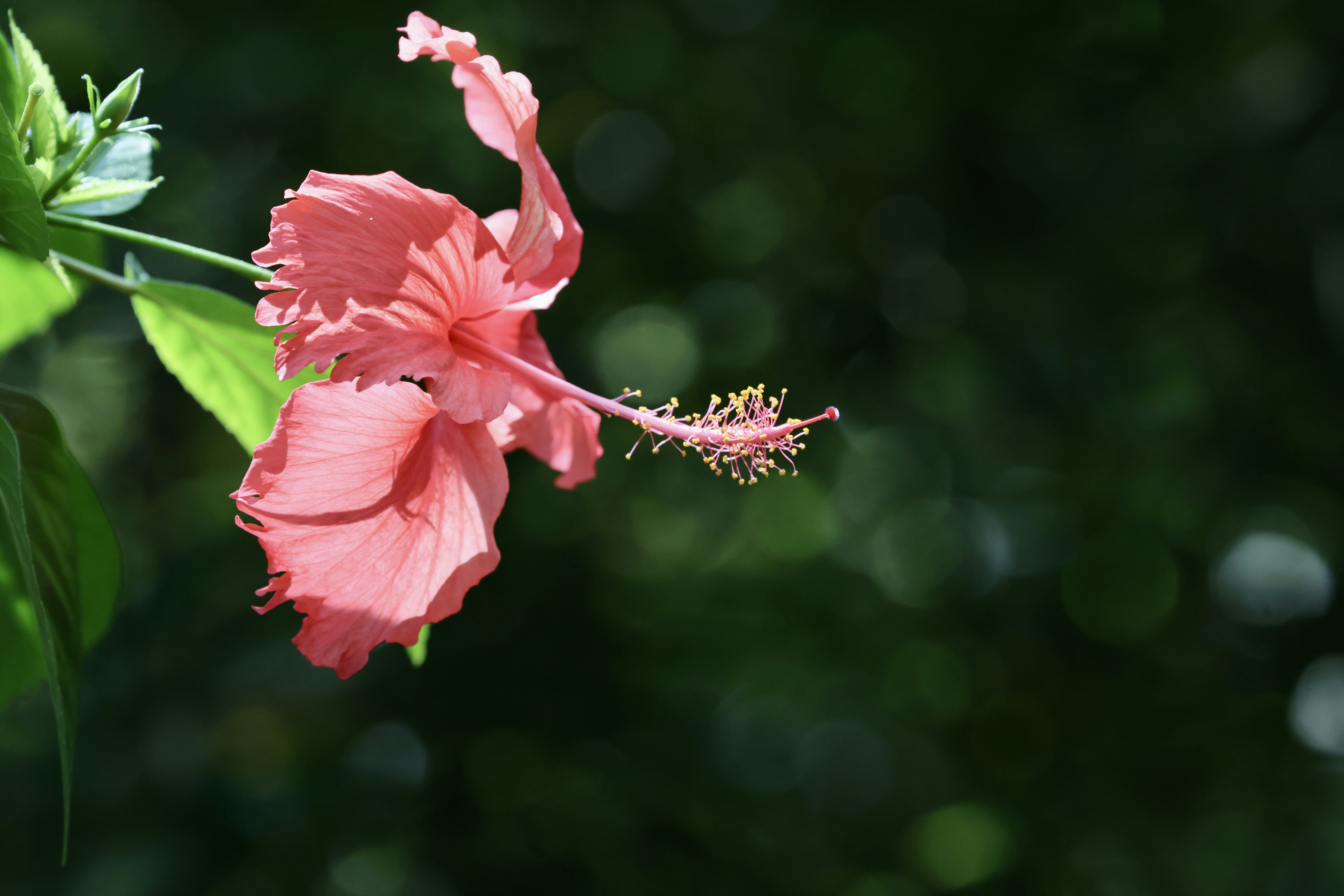 Photo by dickenslin76