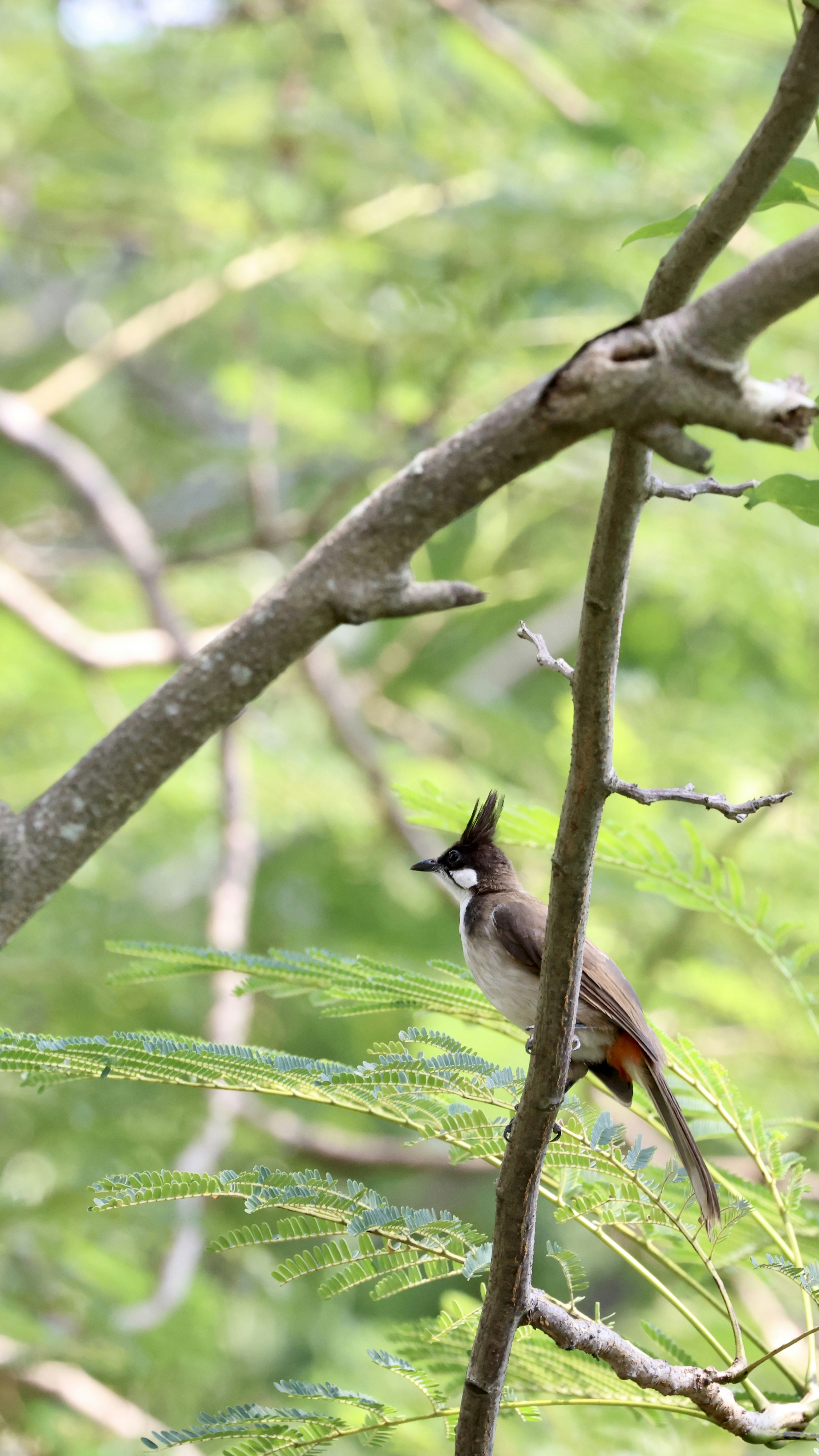 Photo by dickenslin76