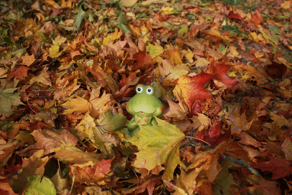a green frog in a pile of leaves