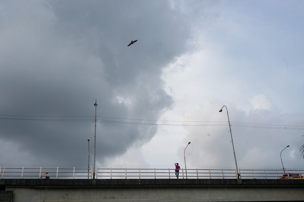 a bird flying over a bridge