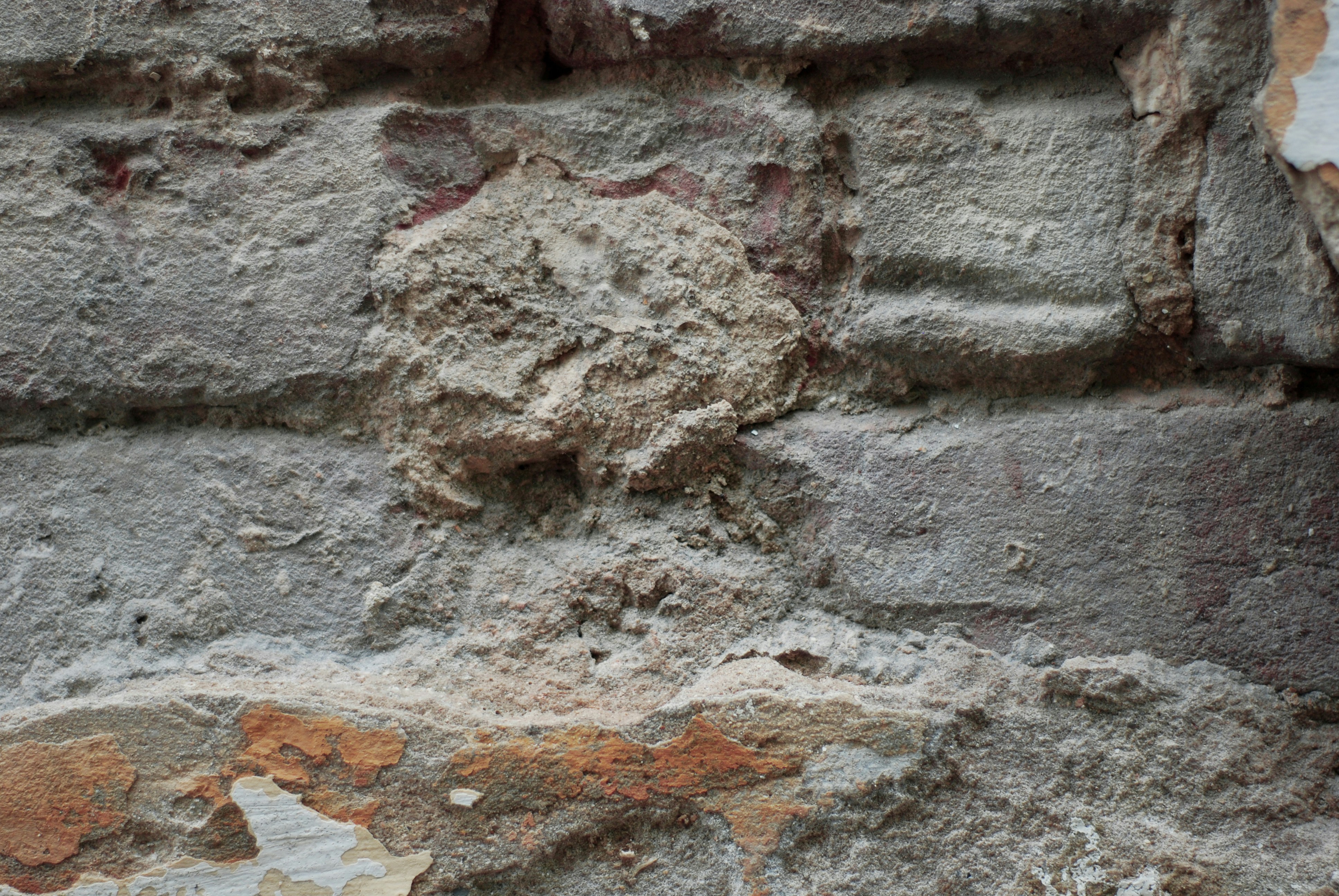 Photo by kovalskihelga