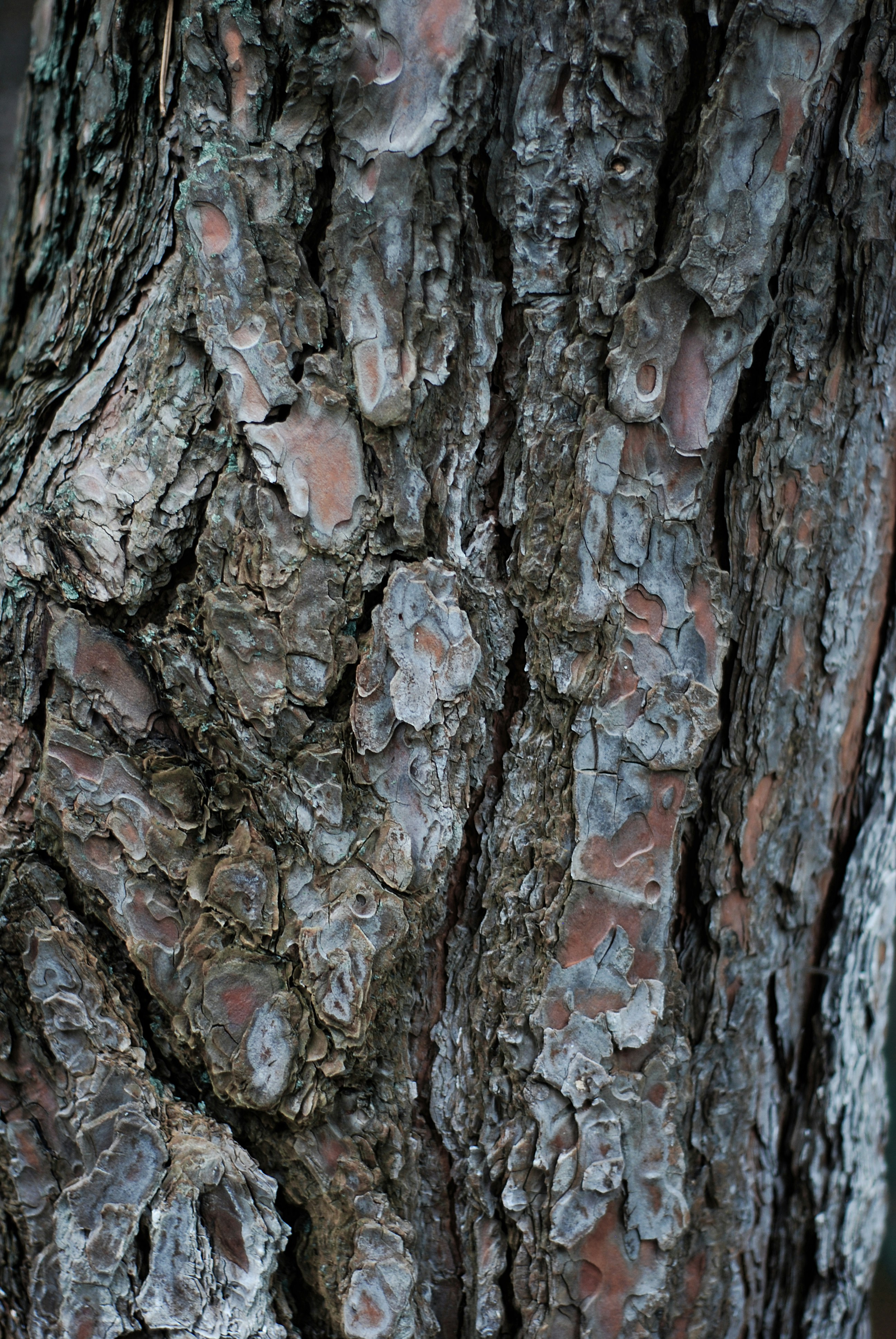 Photo by kovalskihelga