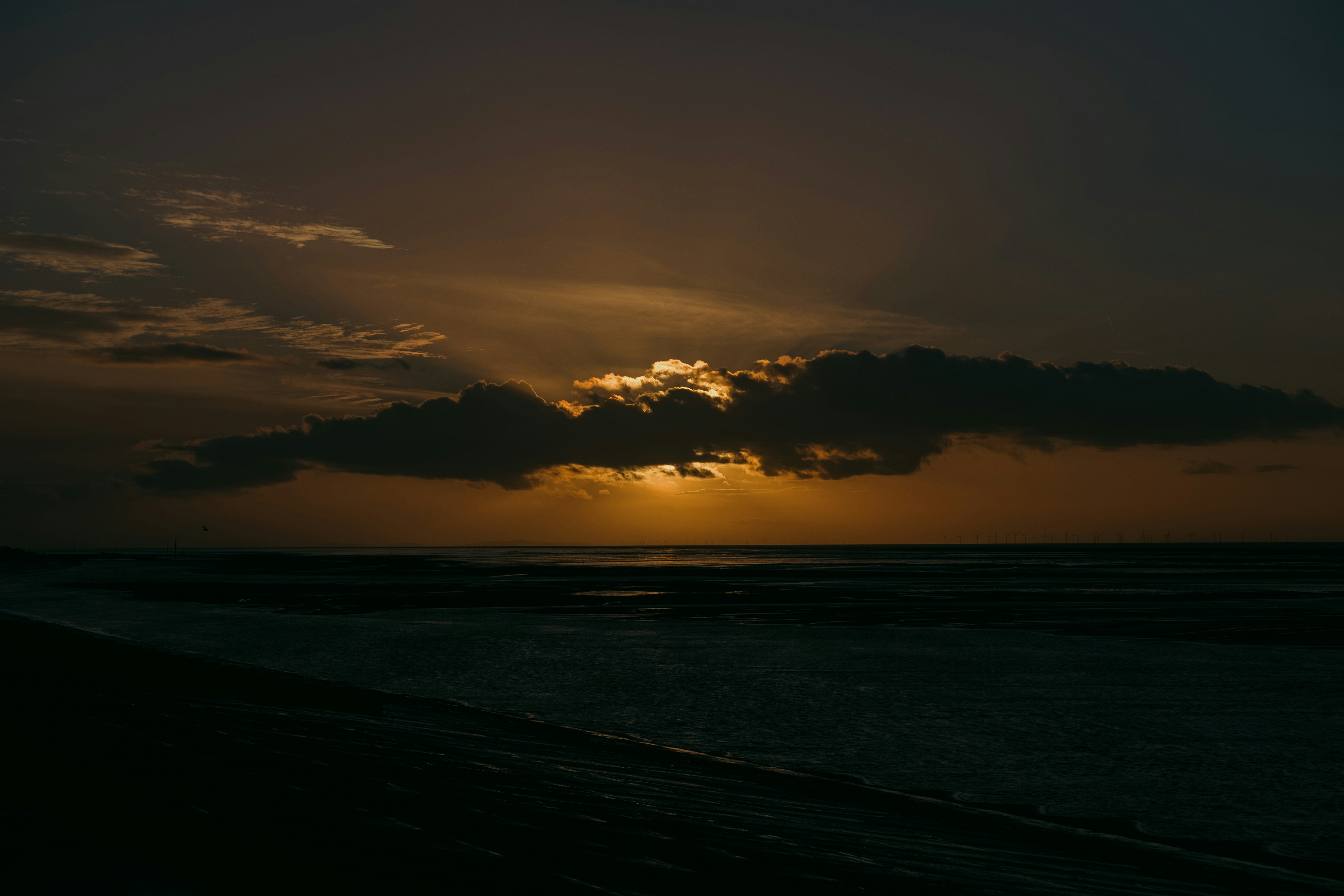 Photo by mitchorr