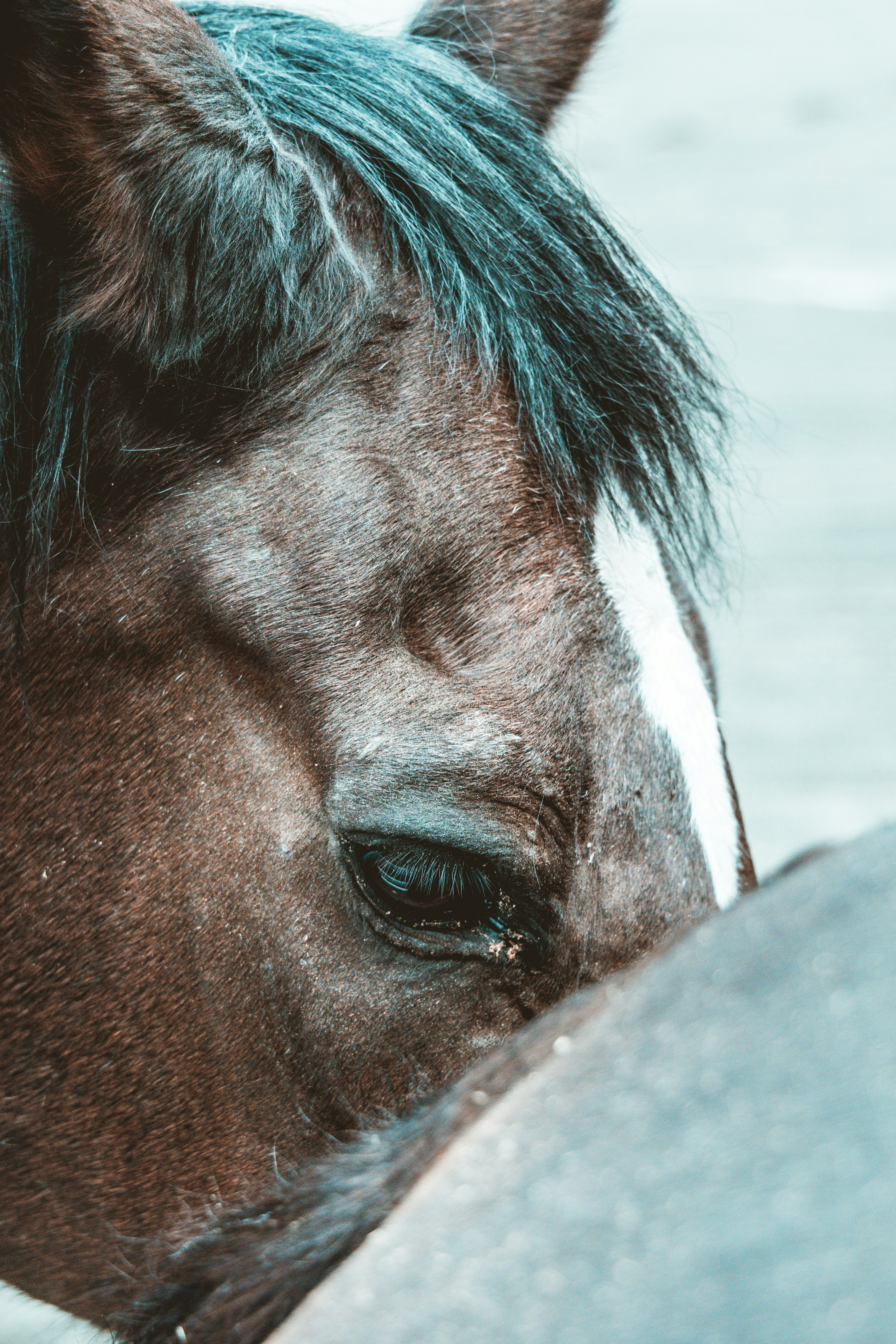 Photo by hiroyukisenn