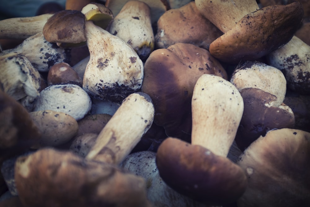 a pile of brown and white rocks