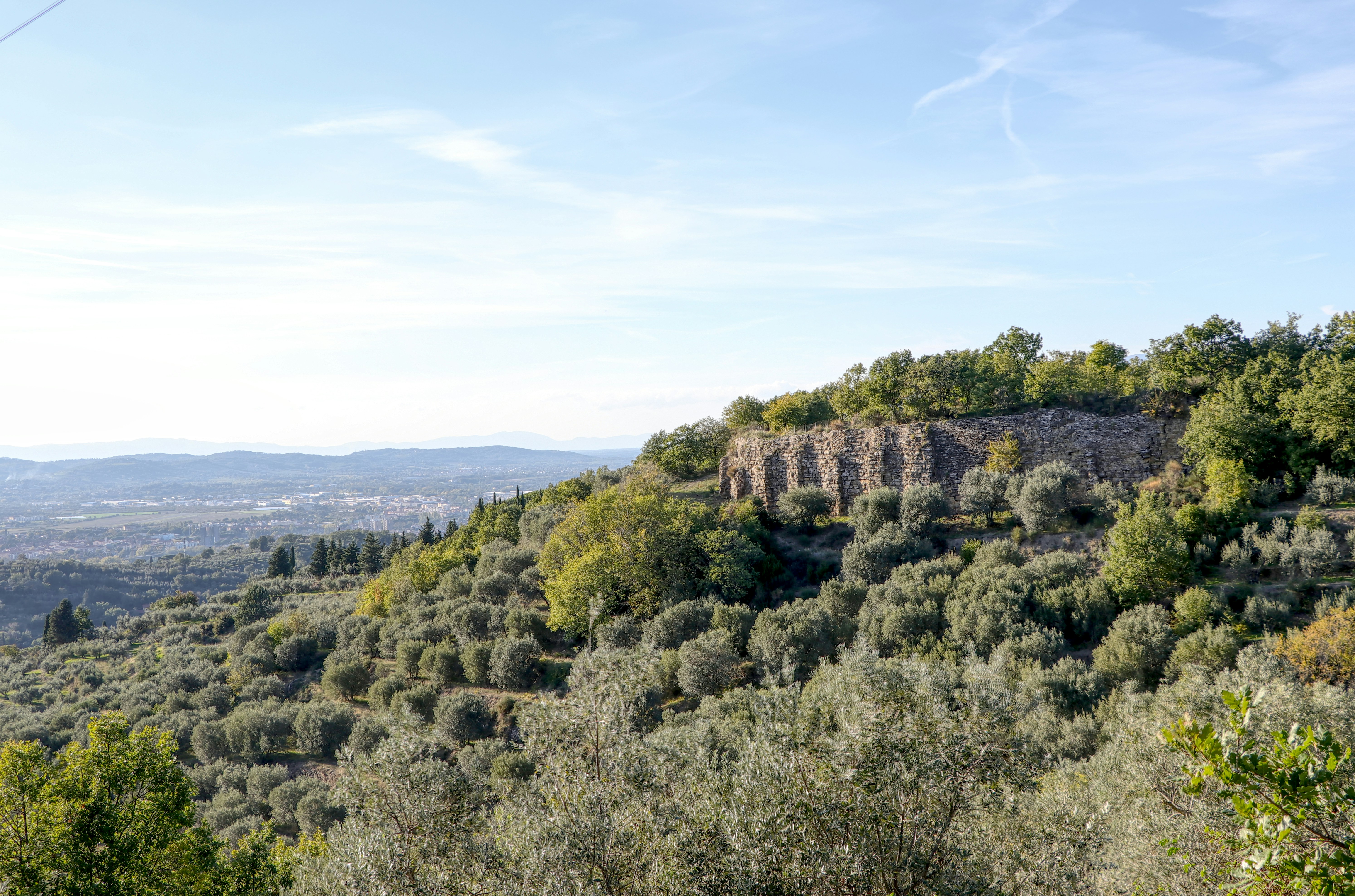 a landscape with trees and hills
