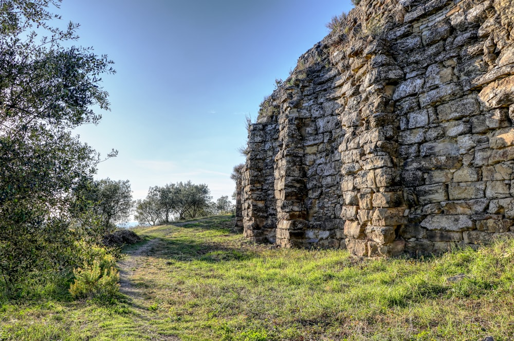 a stone wall with grass and trees