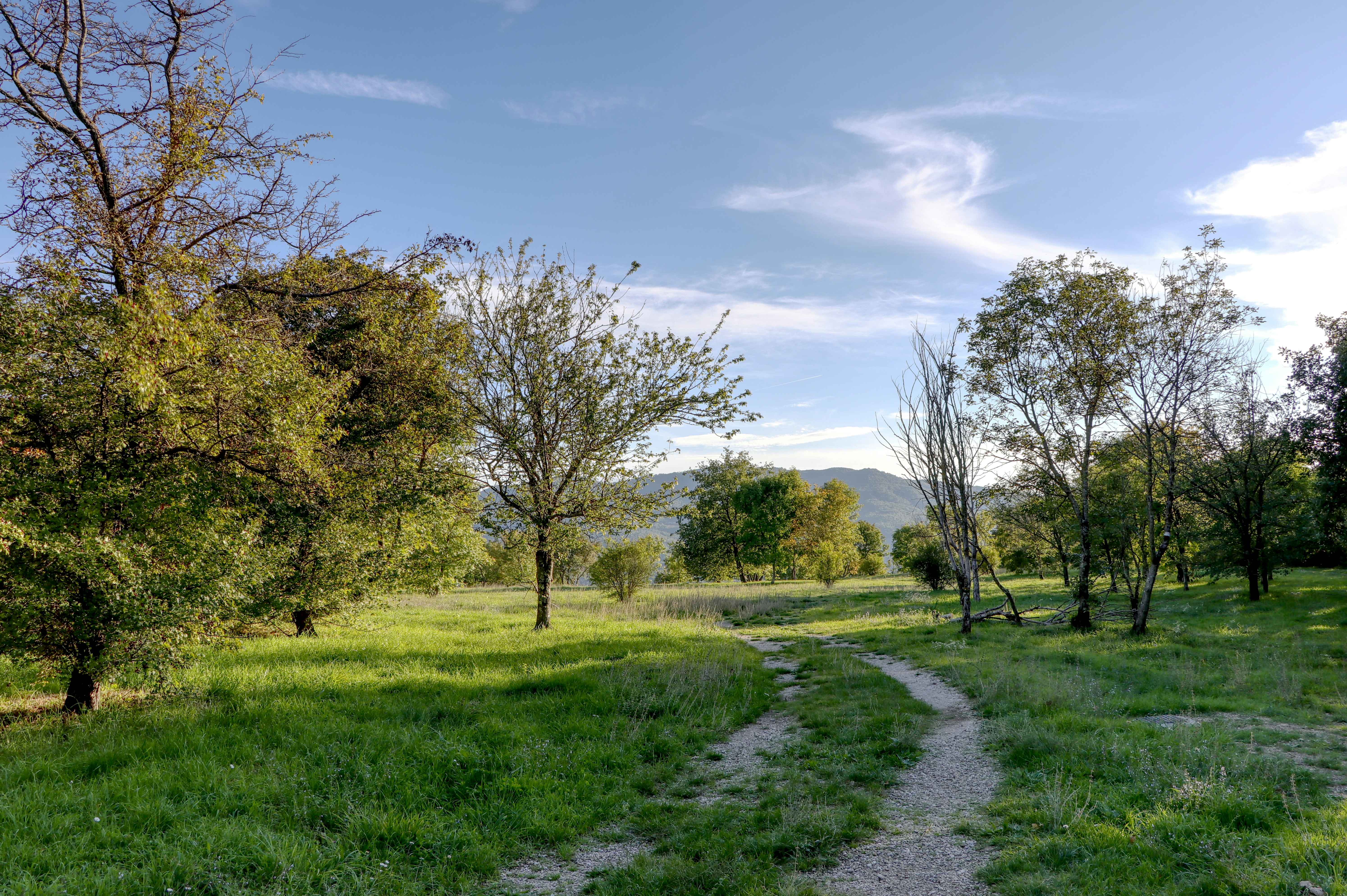 Photo by giuseppe_fattore