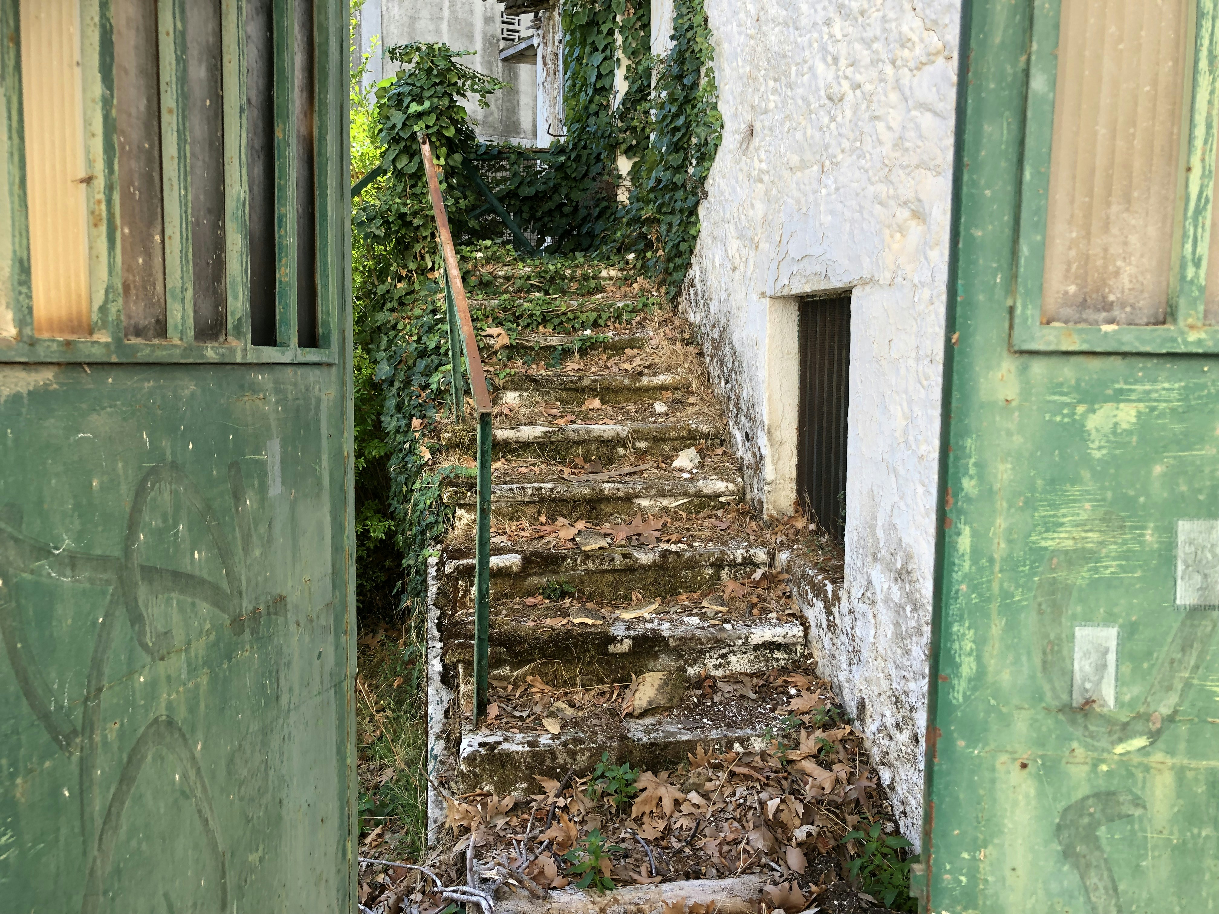 Photo by max_payload