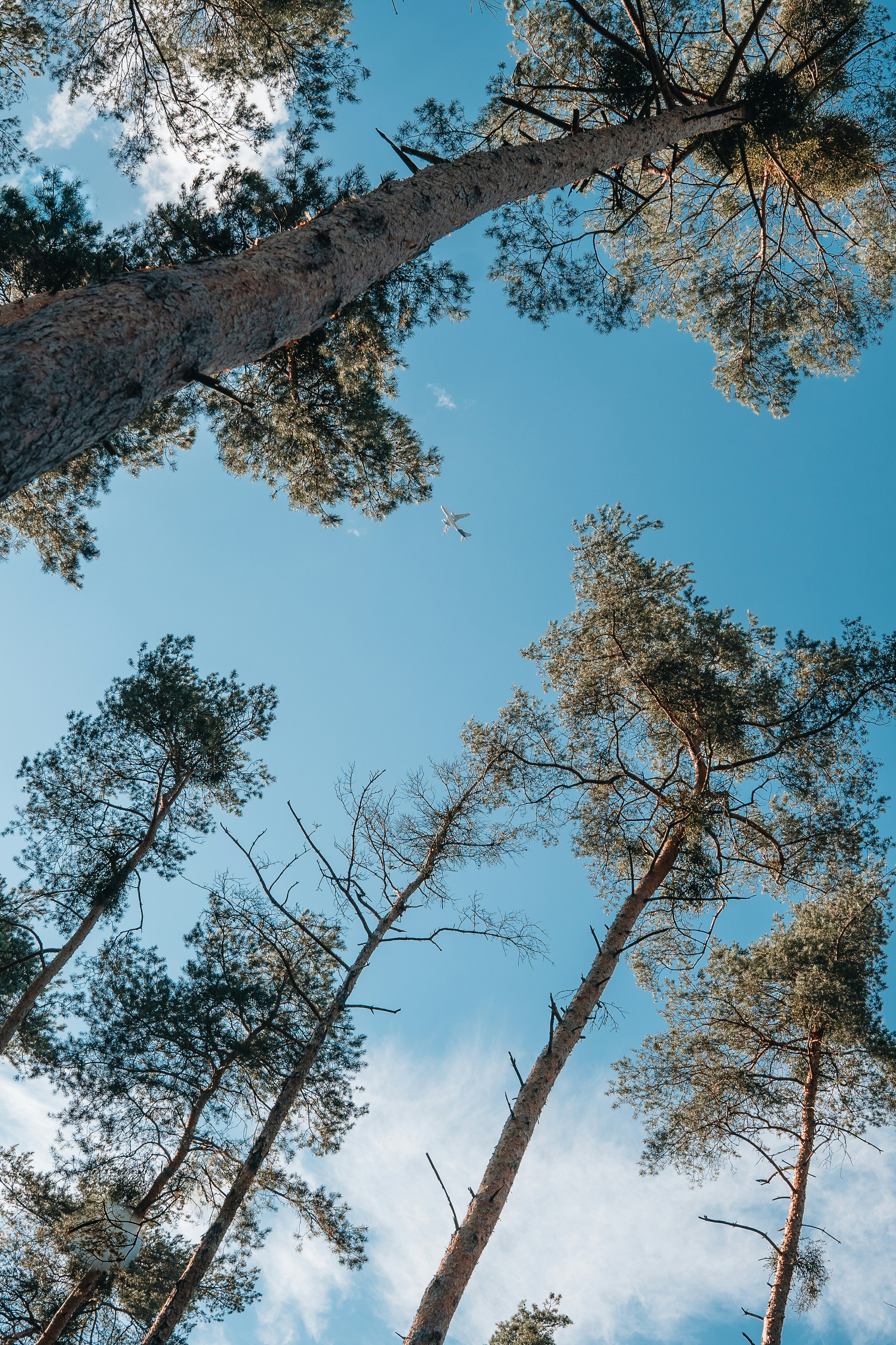 Photo by masoodaslami