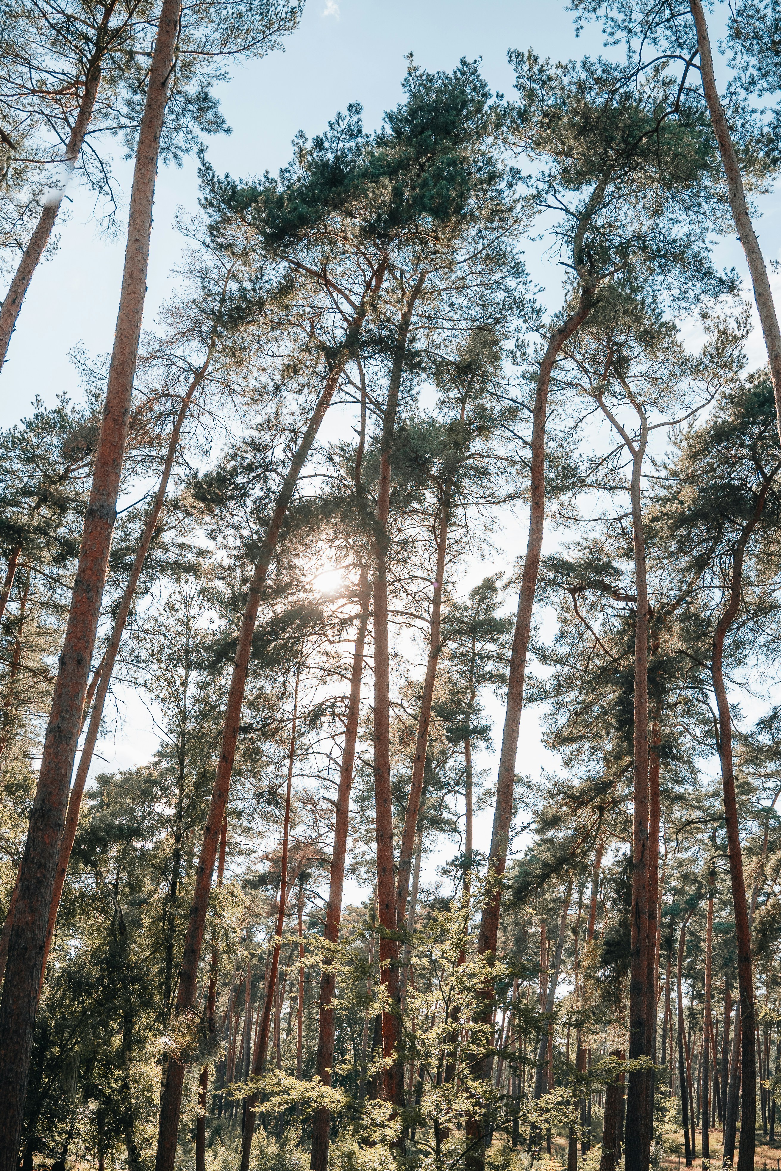 Photo by masoodaslami