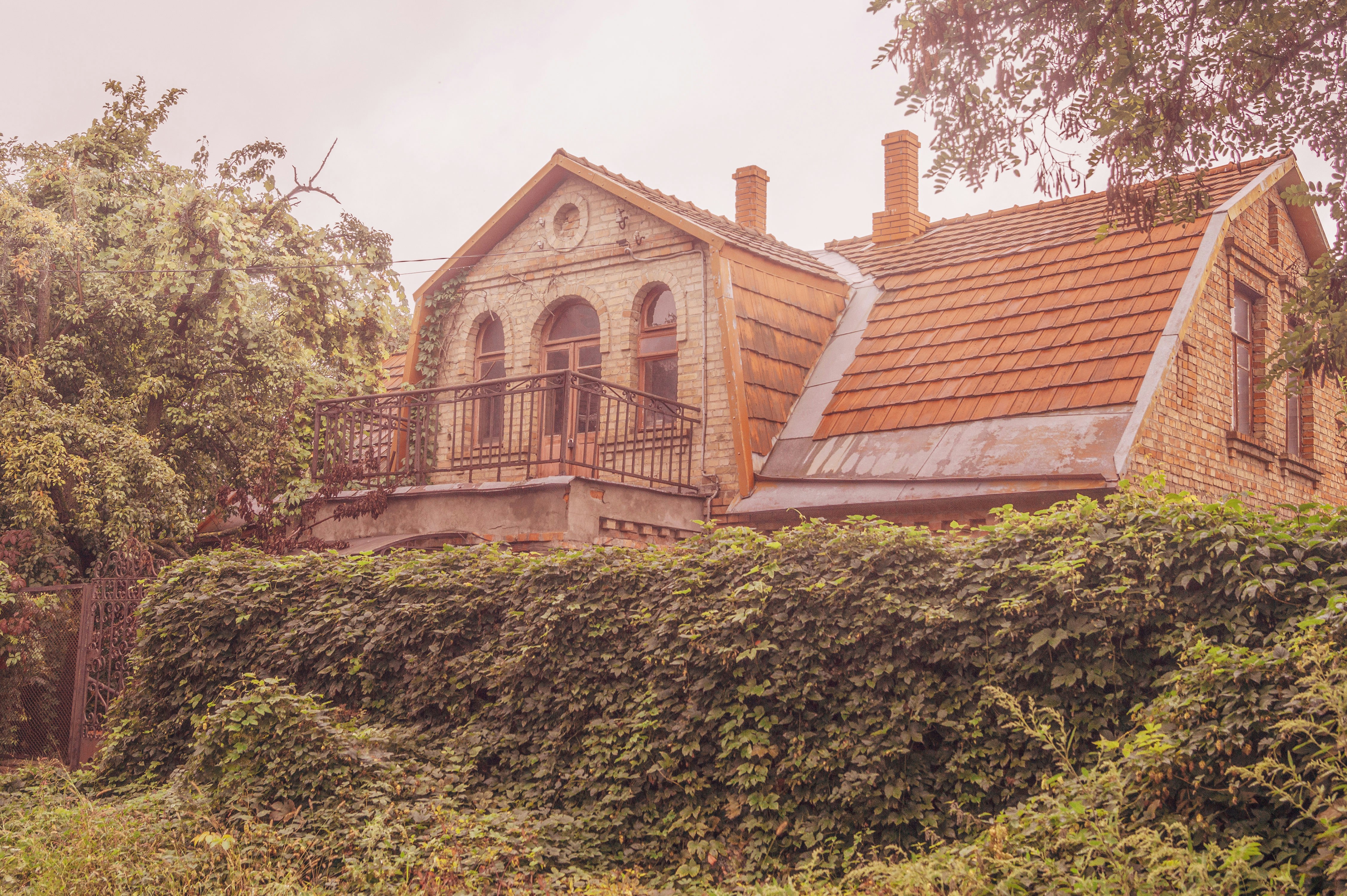 Photo by zephirbrush