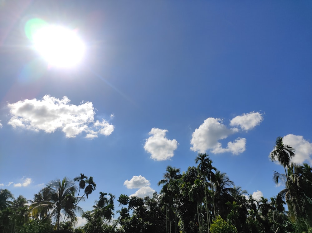 a blue sky with clouds and trees